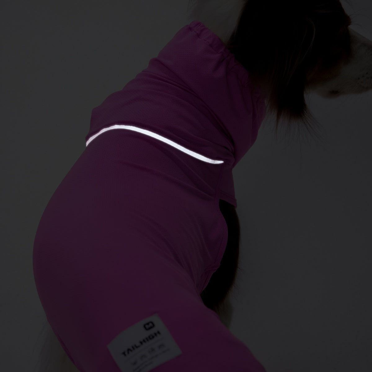 【TAILHIGH テールハイ】ダブルクーリングガード Go2 Cooling Guard Top S,SMサイズ