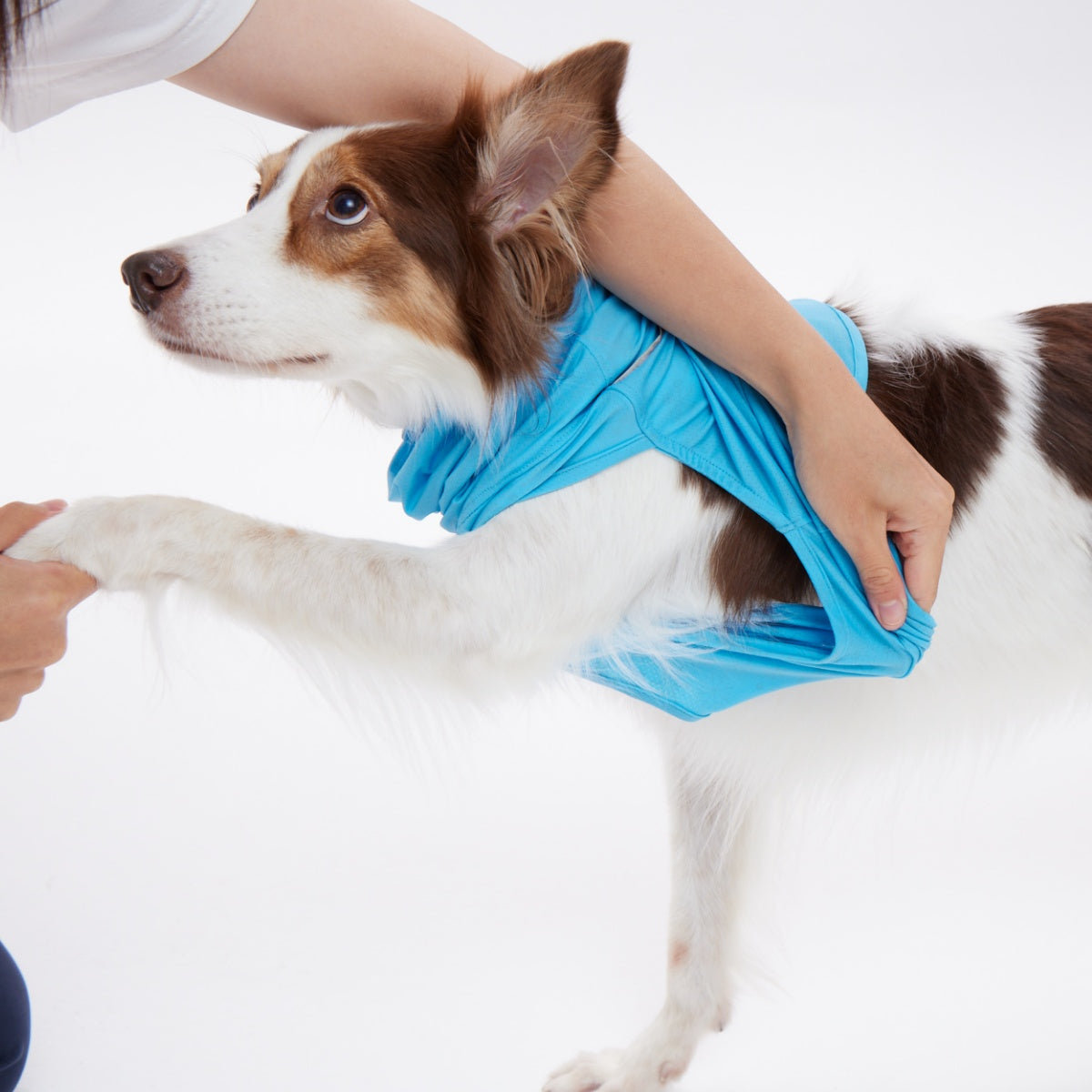 【TAILHIGH テールハイ】ダブルクーリングガード Go2 Cooling Guard Top S,SMサイズ