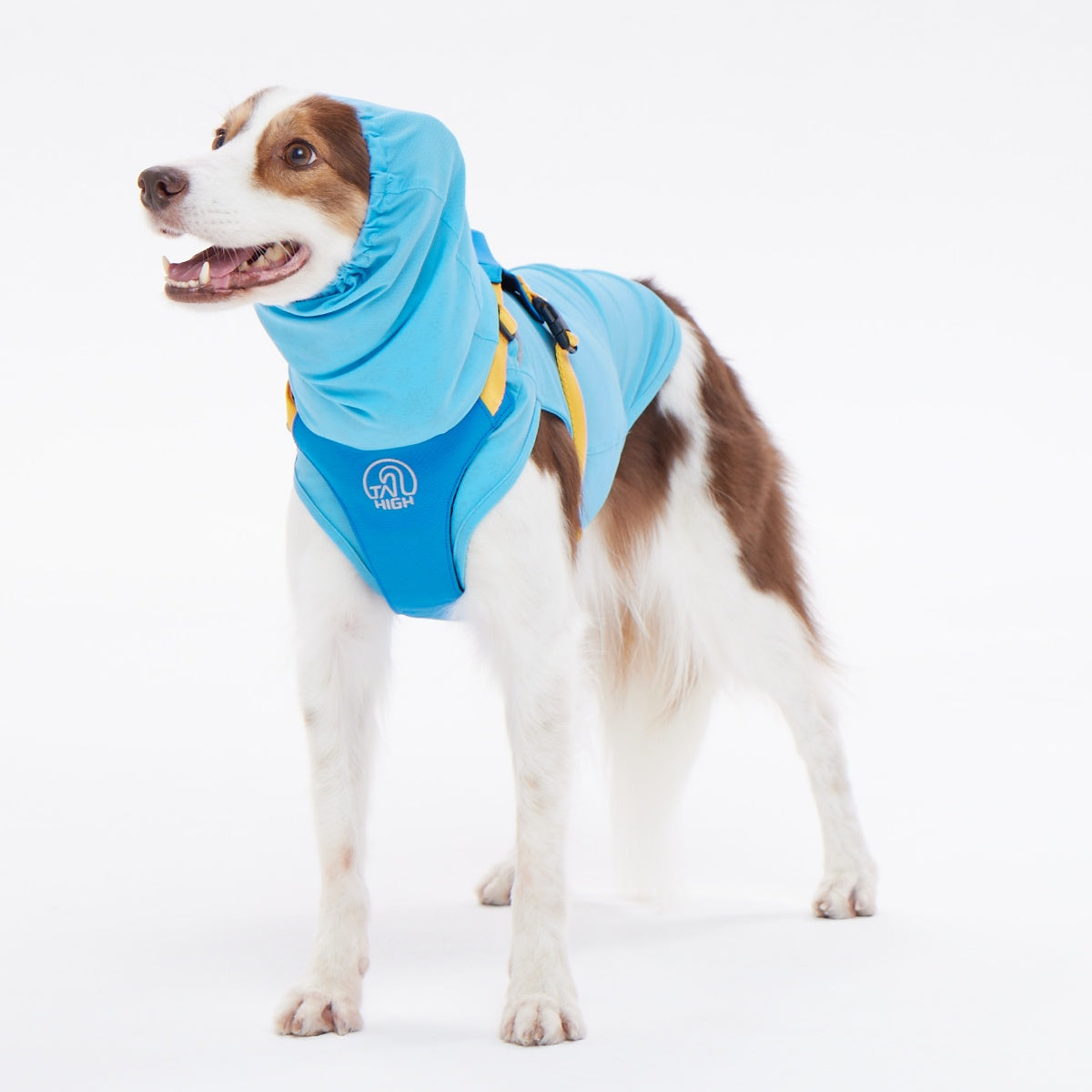 【TAILHIGH テールハイ】ダブルクーリングガード Go2 Cooling Guard Top S,SMサイズ