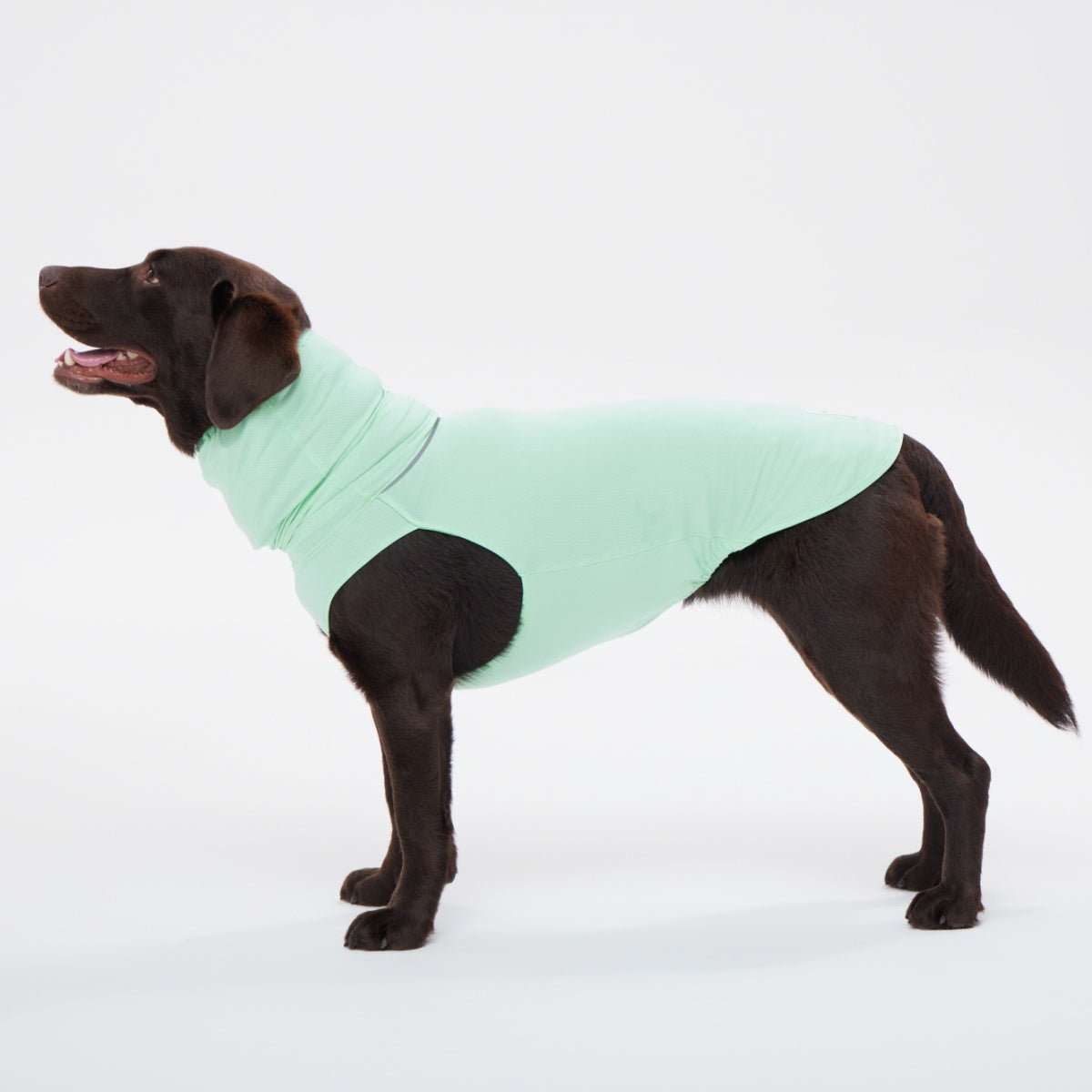 【TAILHIGH テールハイ】ダブルクーリングガード Go2 Cooling Guard Top L,XLサイズ