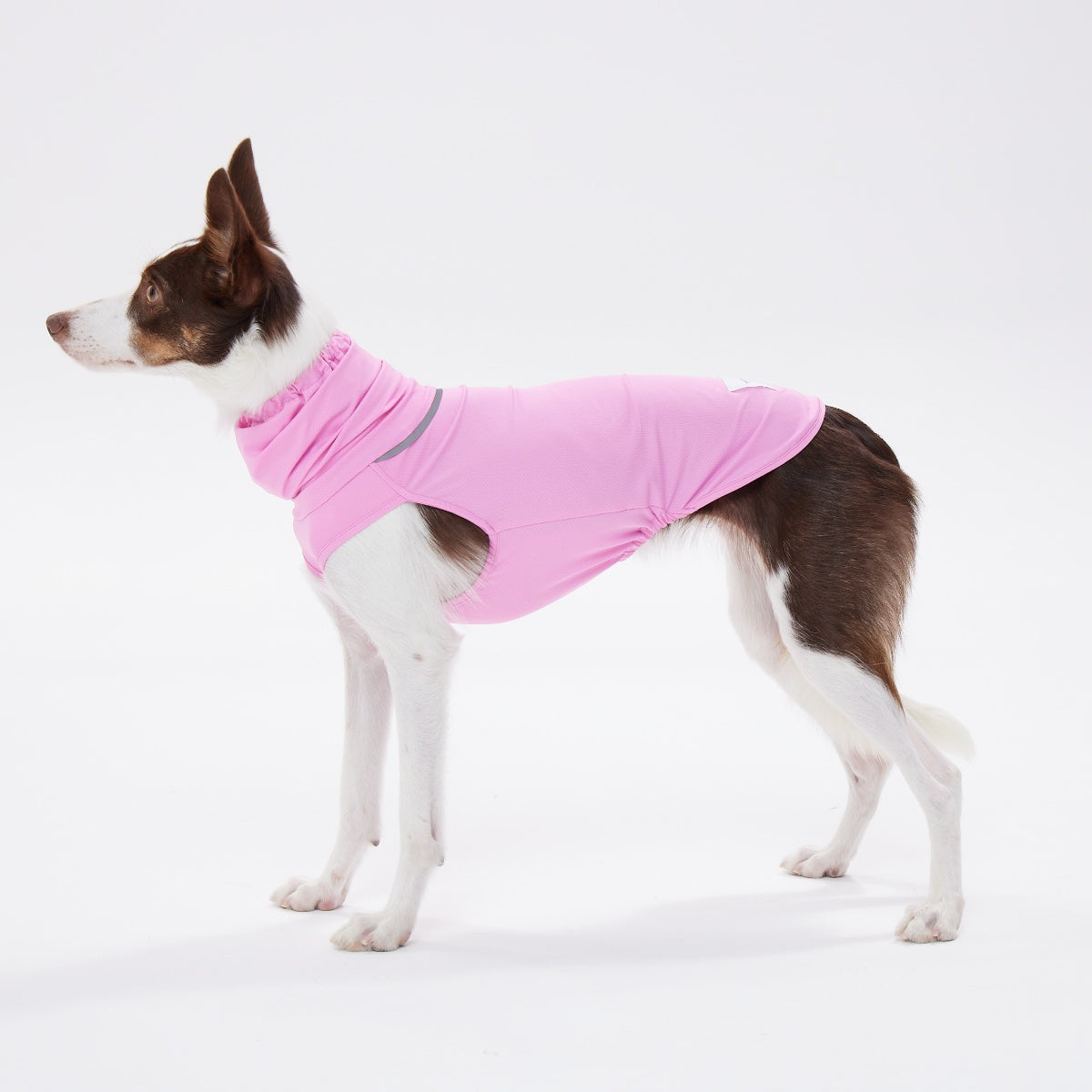 【TAILHIGH テールハイ】ダブルクーリングガード Go2 Cooling Guard Top S,SMサイズ