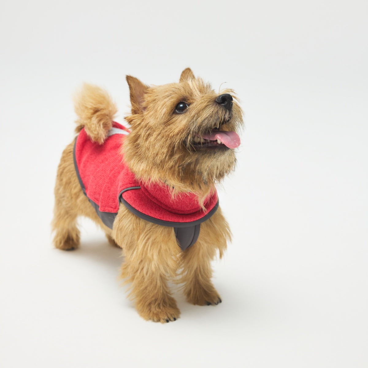 【TAILHIGH テールハイ】フリースヒータートップ Go2 Fleece Heater Top XXS〜XLサイズ