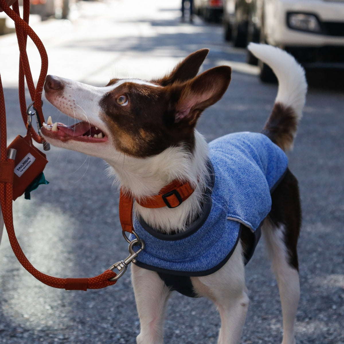 【TAILHIGH テールハイ】フリースヒータートップ Go2 Fleece Heater Top XXS〜XLサイズ