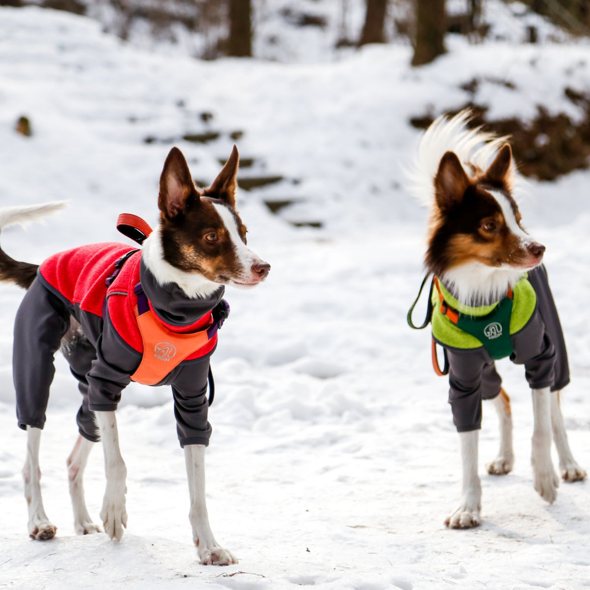 【TAILHIGH テールハイ】フリースヒータートップ Go2 Fleece Heater Top XXS〜XLサイズ