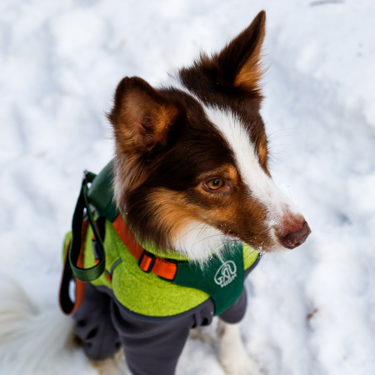 【TAILHIGH テールハイ】フリースヒータートップ Go2 Fleece Heater Top XXS〜XLサイズ