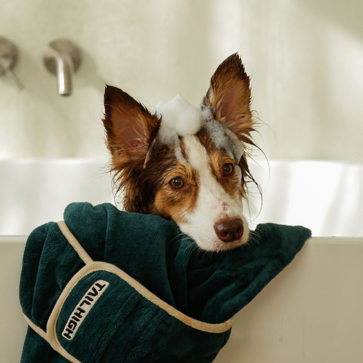 【TAILHIGH テールハイ】ドライローブ Go2 Drying Wearable Towel Mサイズ フォレストグリーン