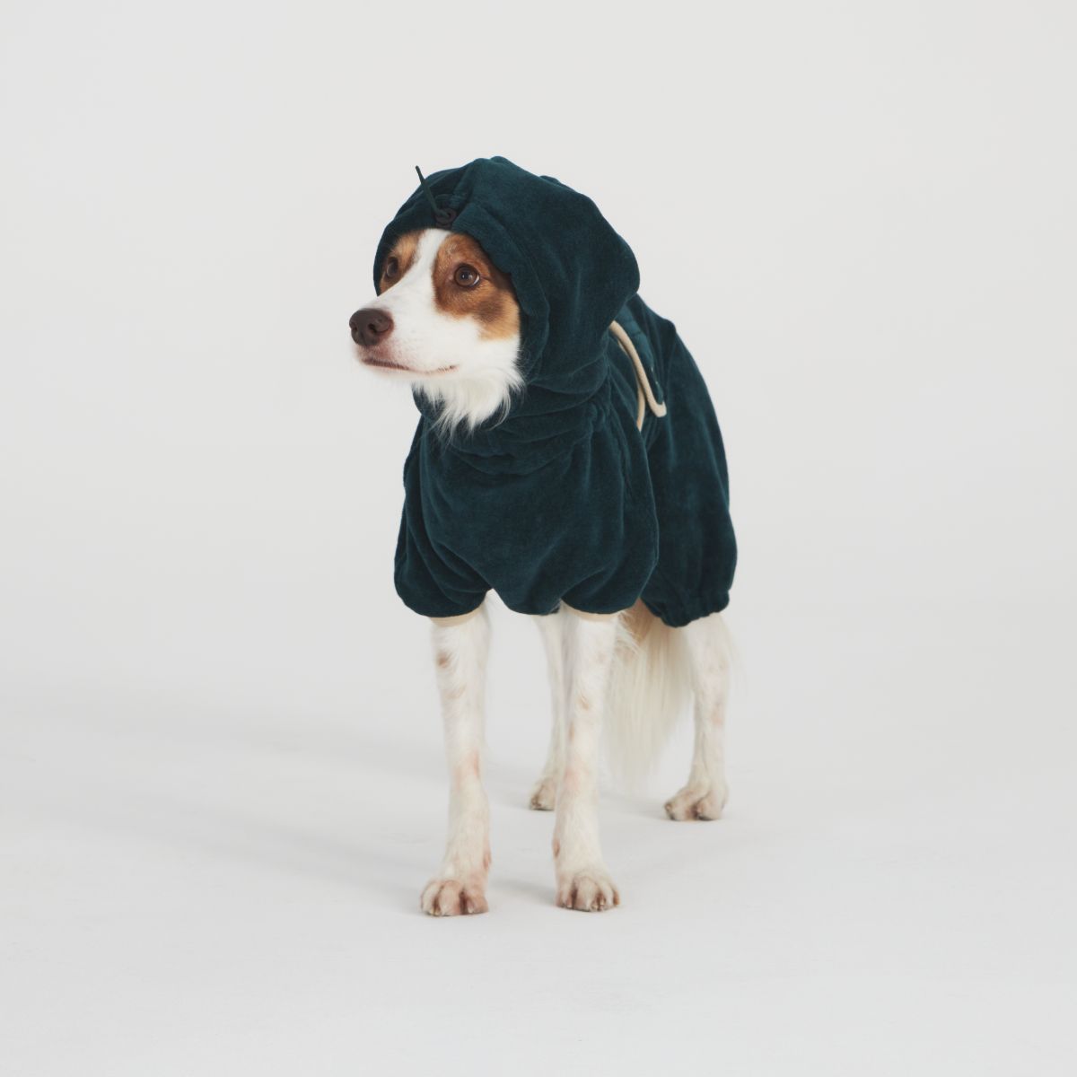 【TAILHIGH テールハイ】ドライローブ Go2 Drying Wearable Towel SMサイズ フォレストグリーン