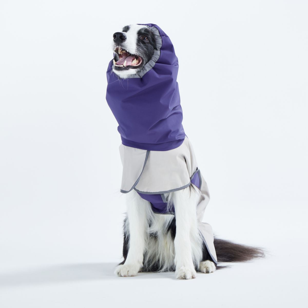 【TAILHIGH テールハイ】レインコート Go2 Raincoat Lサイズ