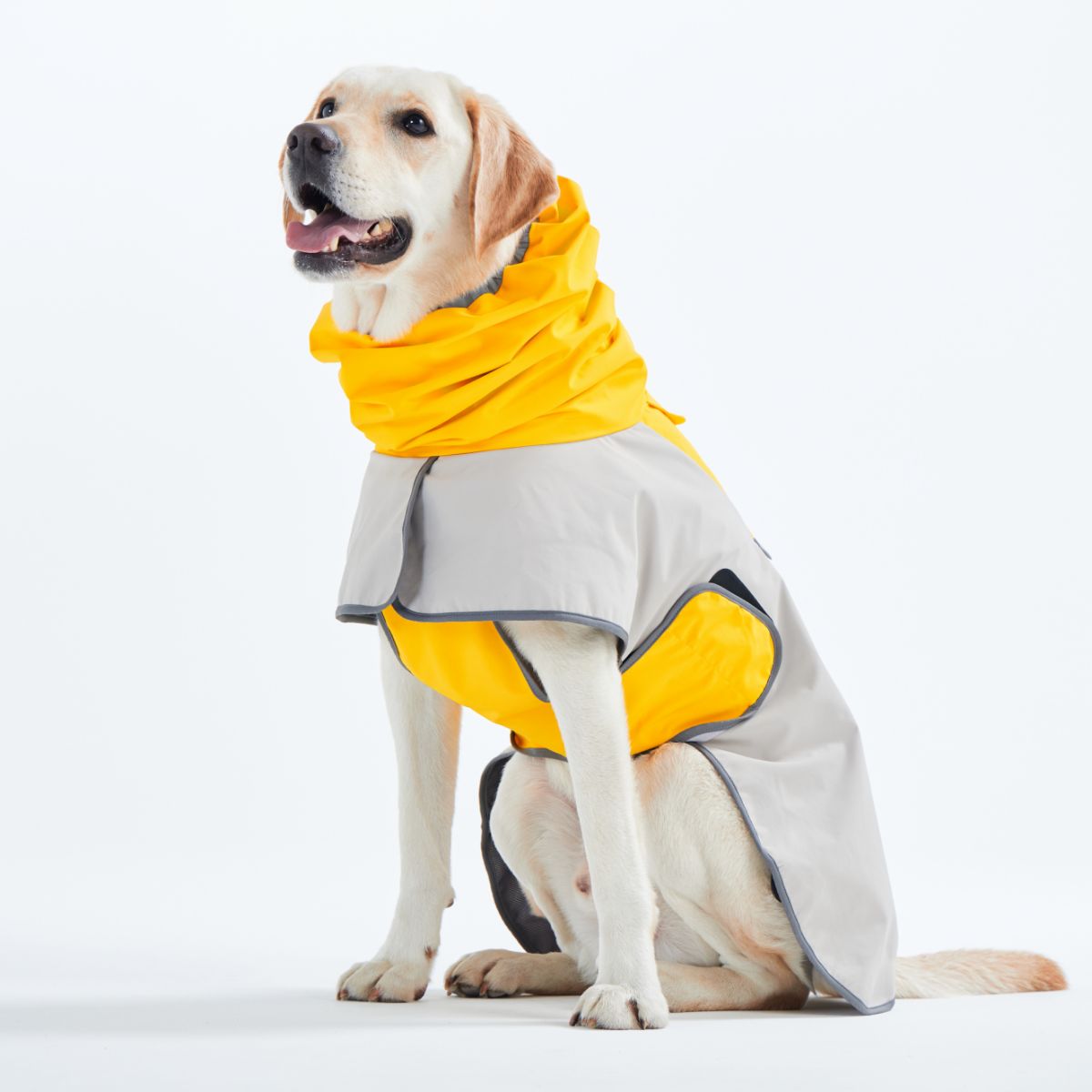 【TAILHIGH テールハイ】レインコート Go2 Raincoat Lサイズ