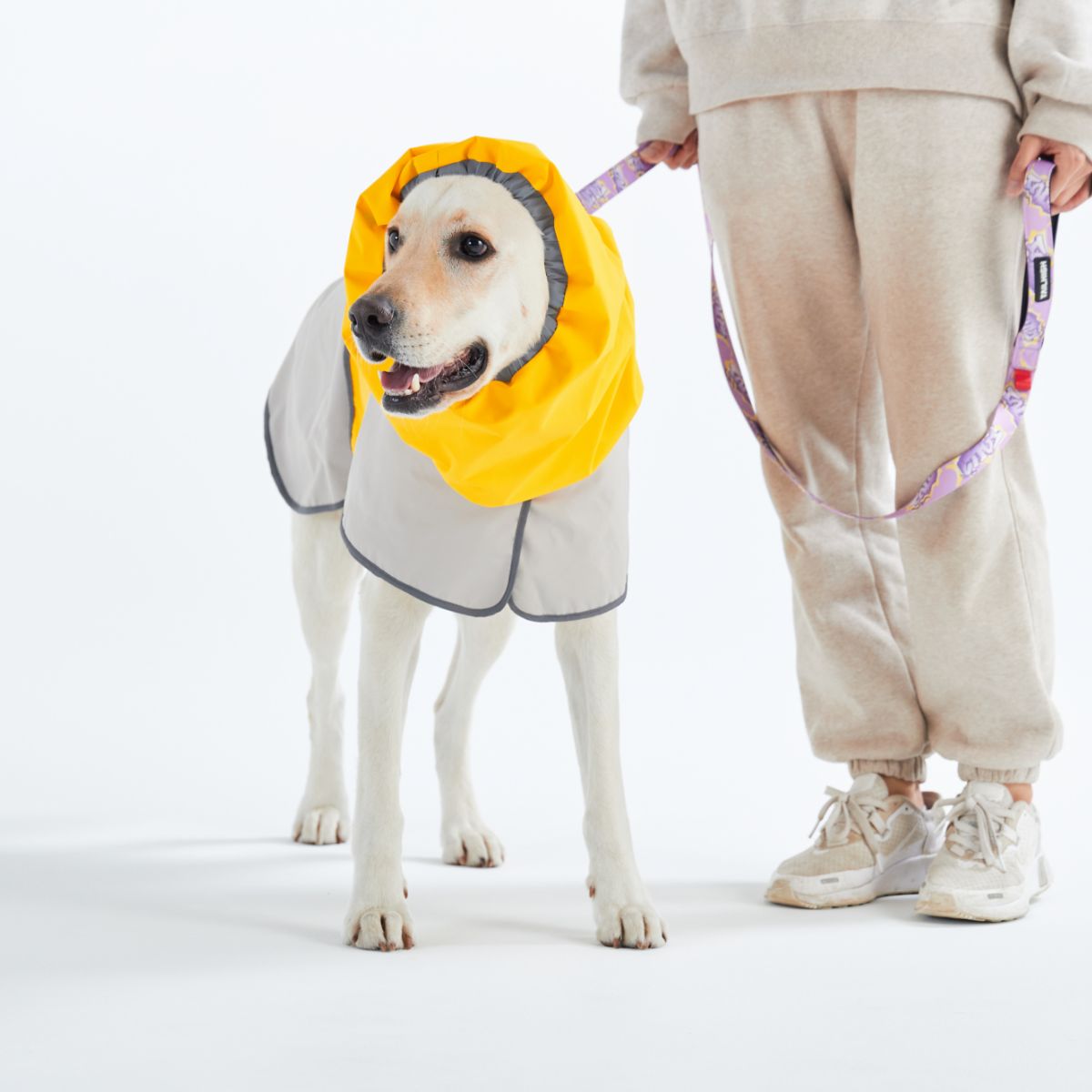 【TAILHIGH テールハイ】レインコート Go2 Raincoat Lサイズ