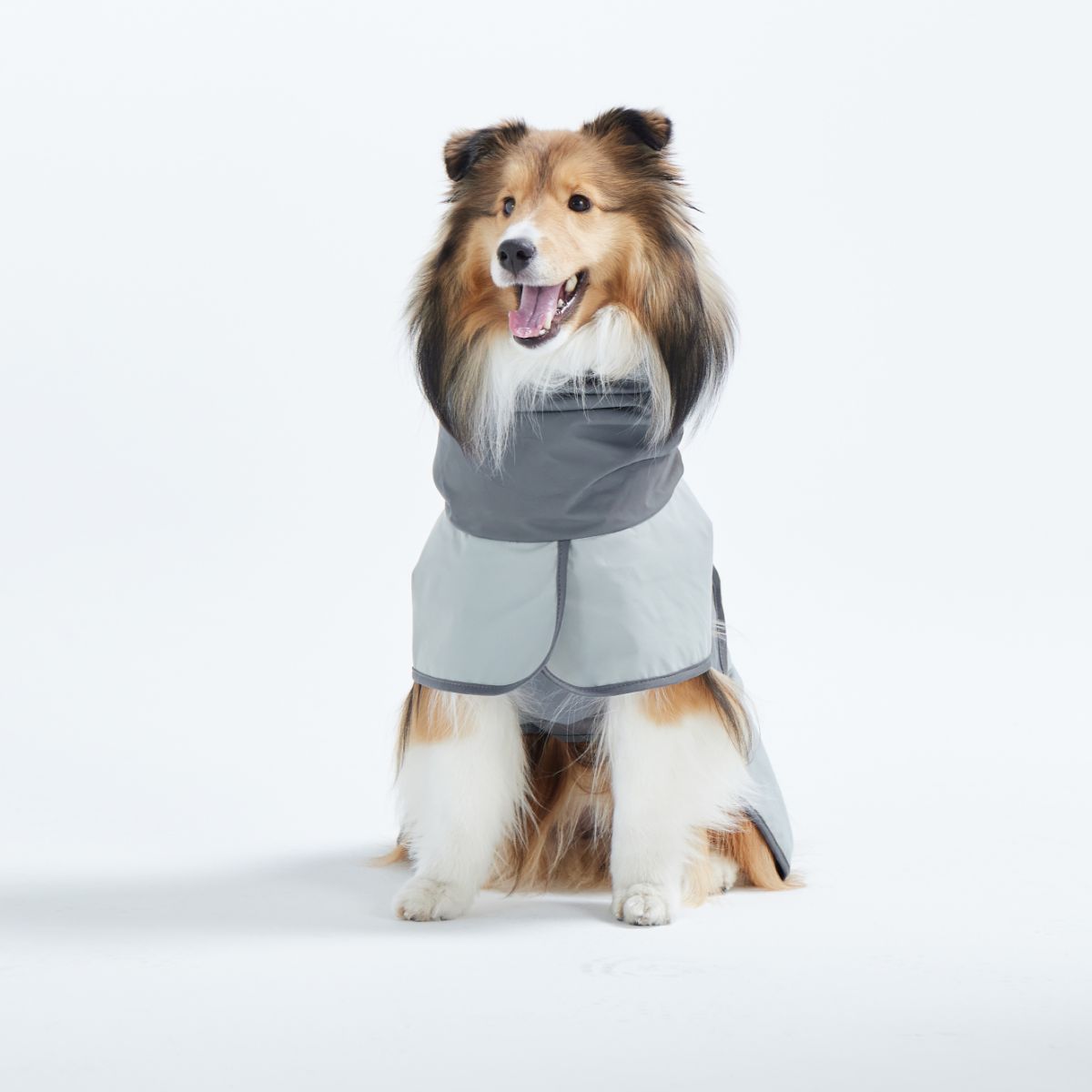 【TAILHIGH テールハイ】レインコート Go2 Raincoat SMサイズ