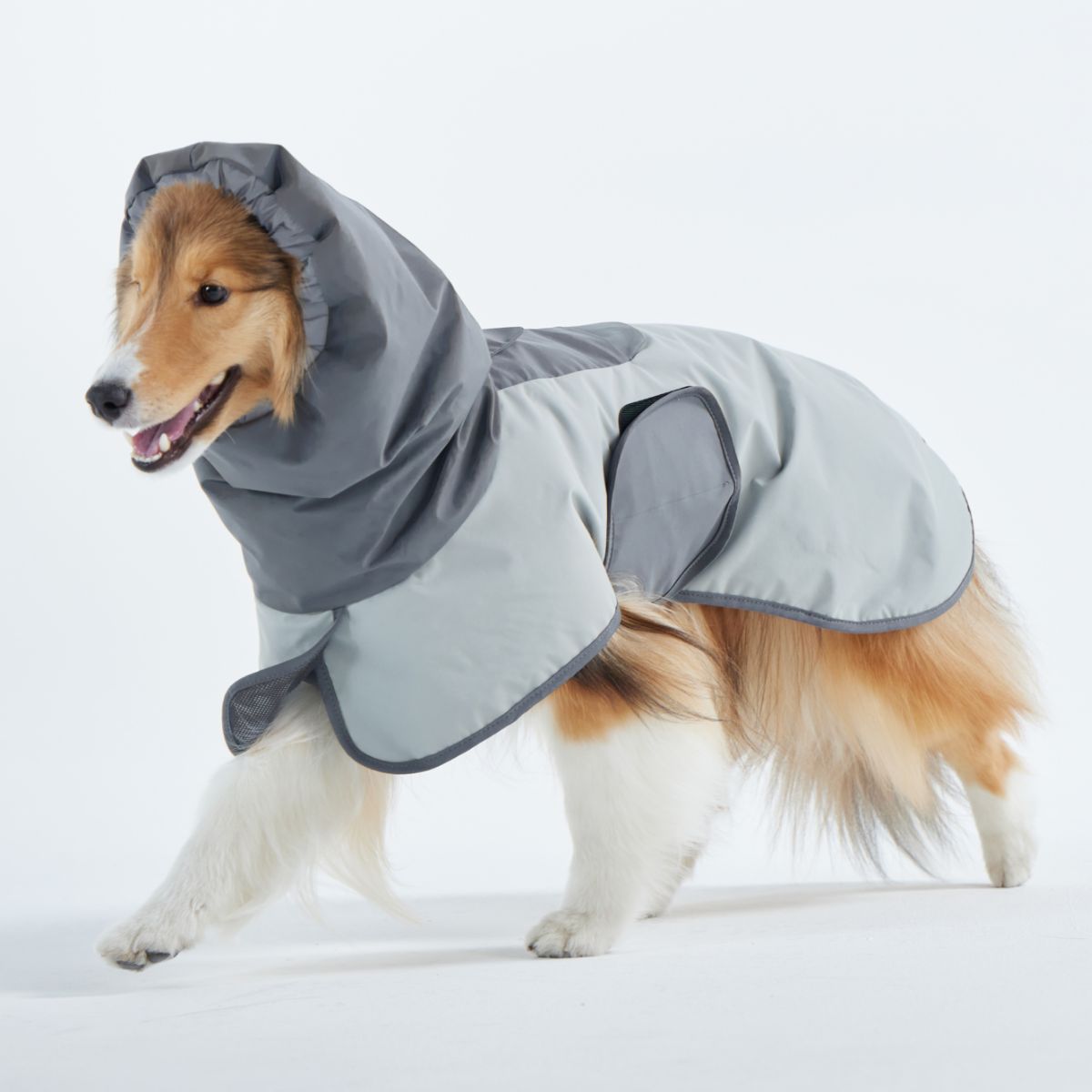 【TAILHIGH テールハイ】レインコート Go2 Raincoat SMサイズ
