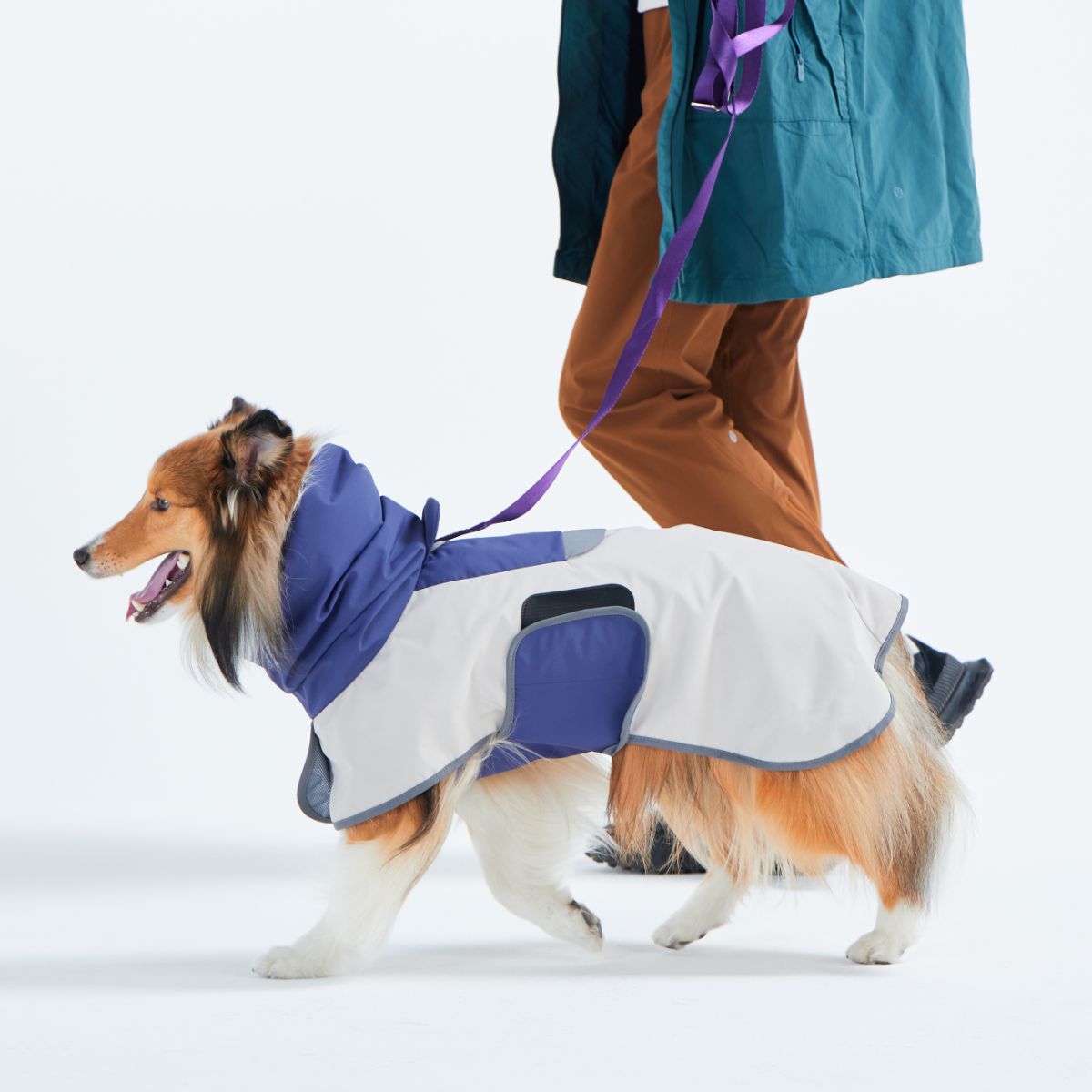 【TAILHIGH テールハイ】レインコート Go2 Raincoat SMサイズ