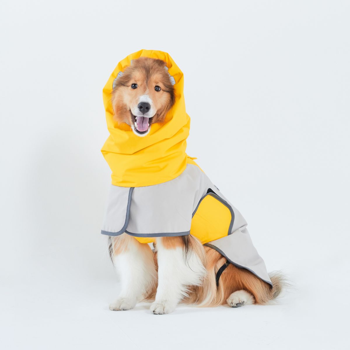 【TAILHIGH テールハイ】レインコート Go2 Raincoat SMサイズ