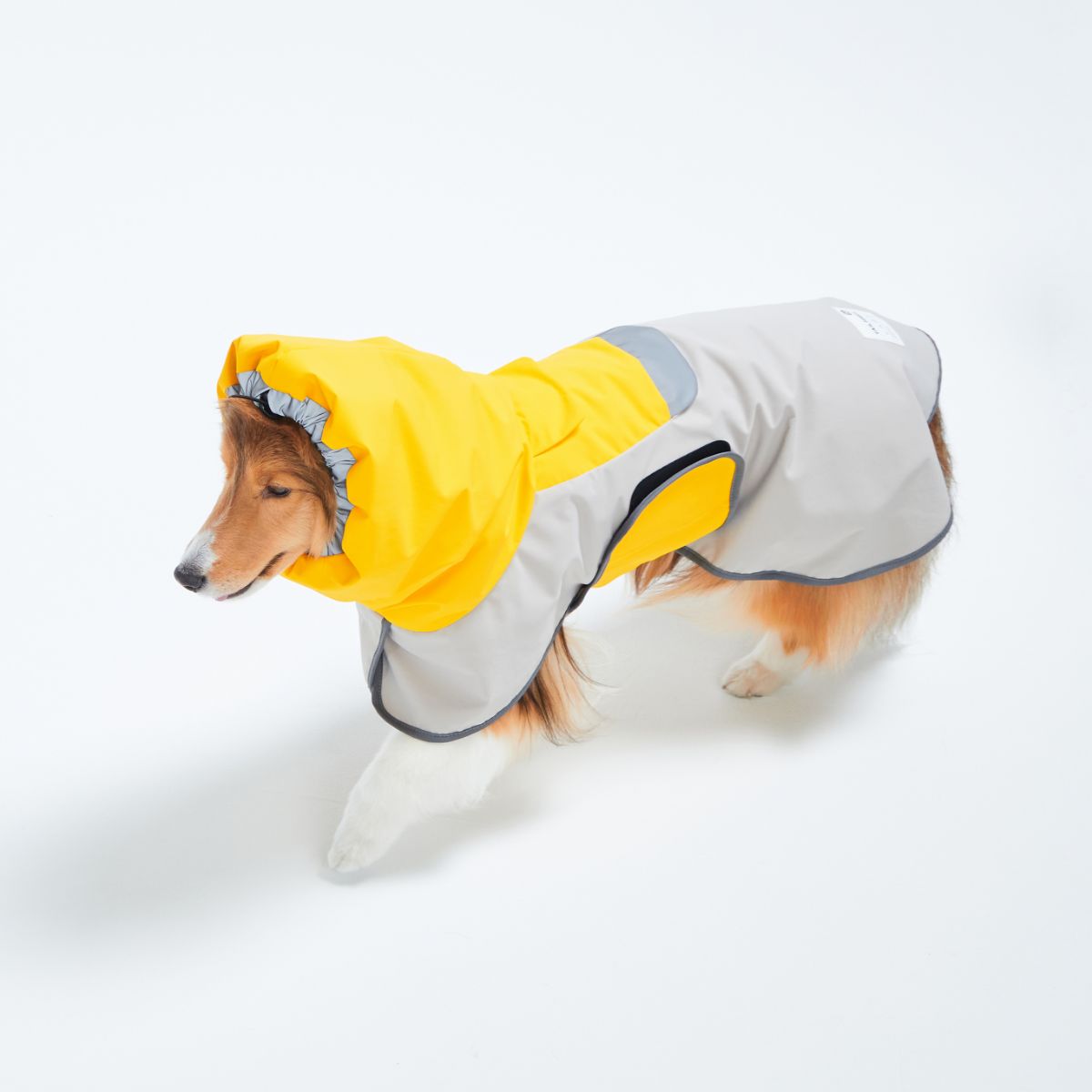 【TAILHIGH テールハイ】レインコート Go2 Raincoat SMサイズ