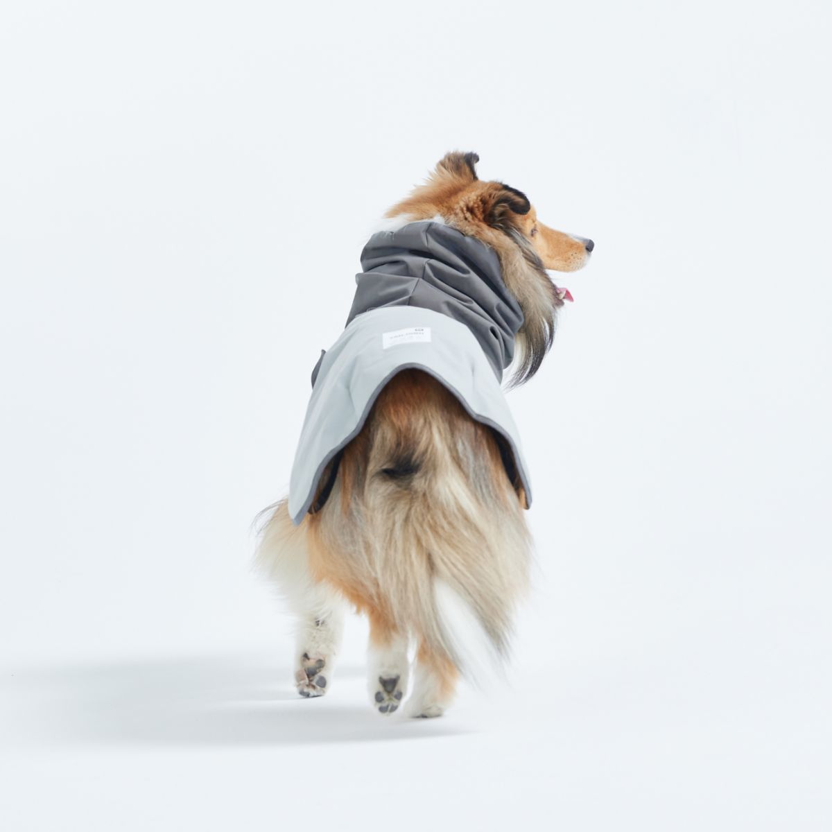 【TAILHIGH テールハイ】レインコート Go2 Raincoat Lサイズ