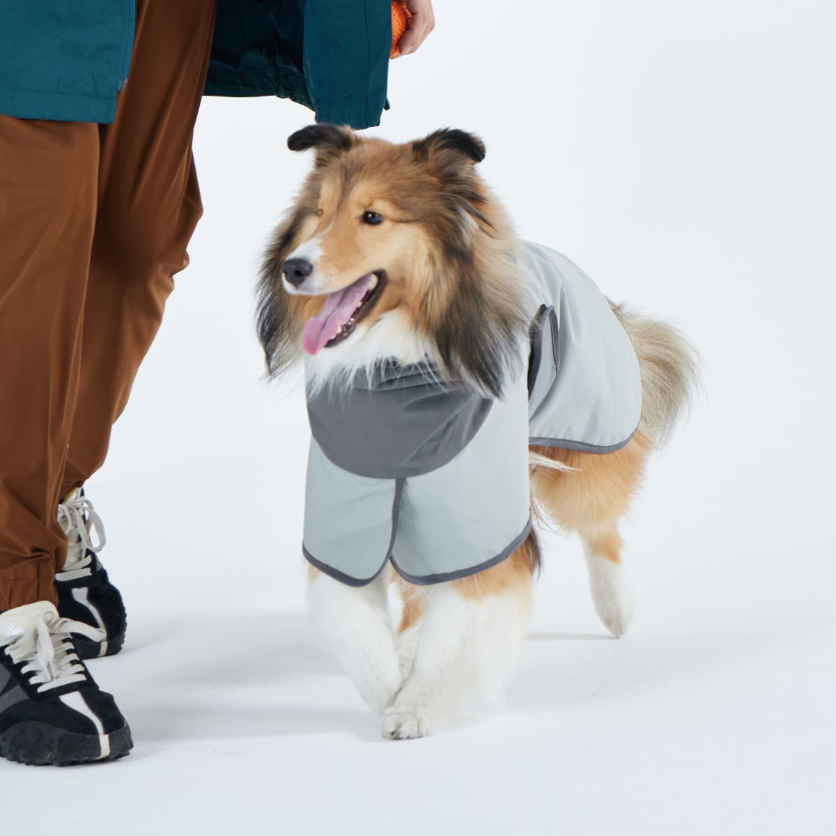 【TAILHIGH テールハイ】レインコート Go2 Raincoat Lサイズ