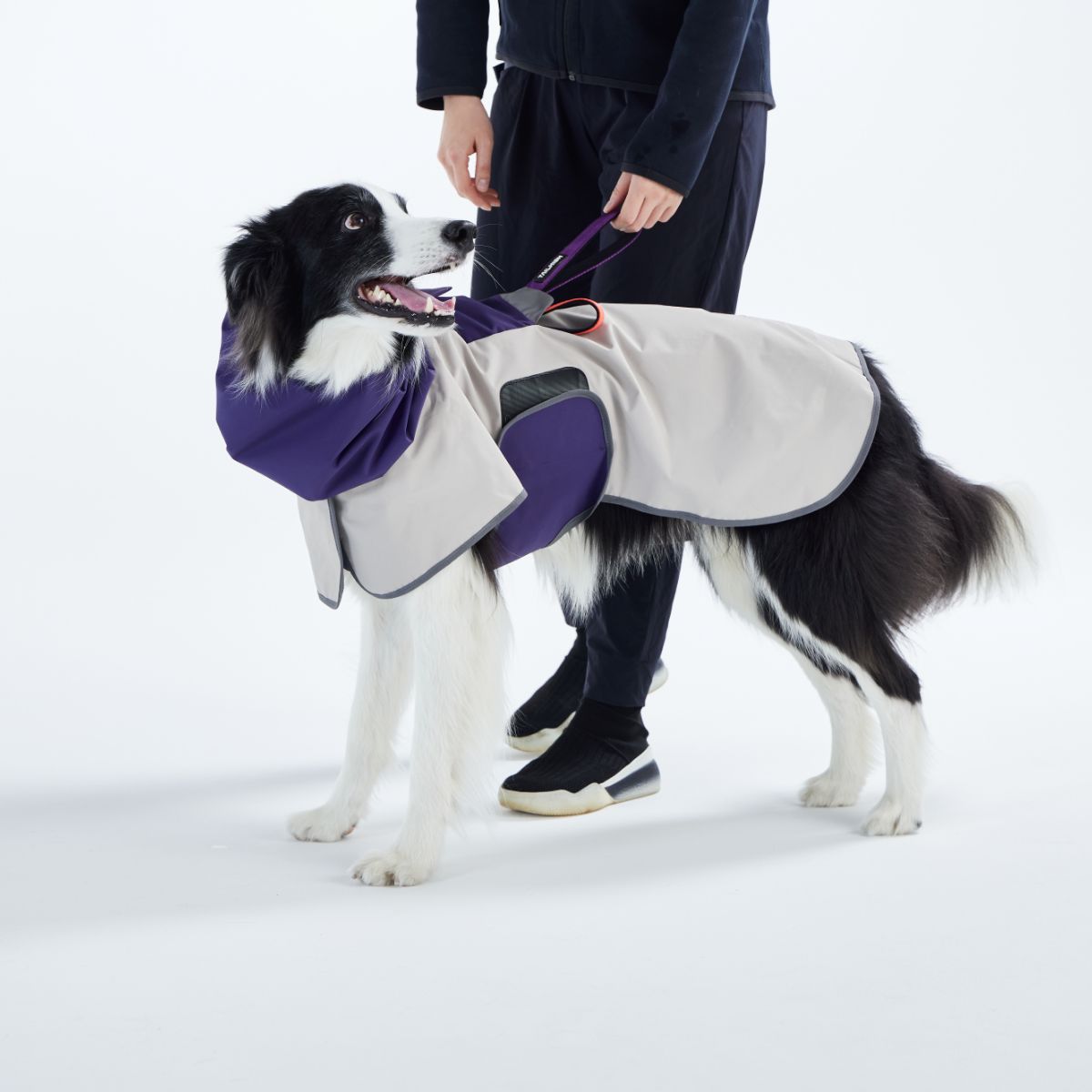 【TAILHIGH テールハイ】レインコート Go2 Raincoat Lサイズ