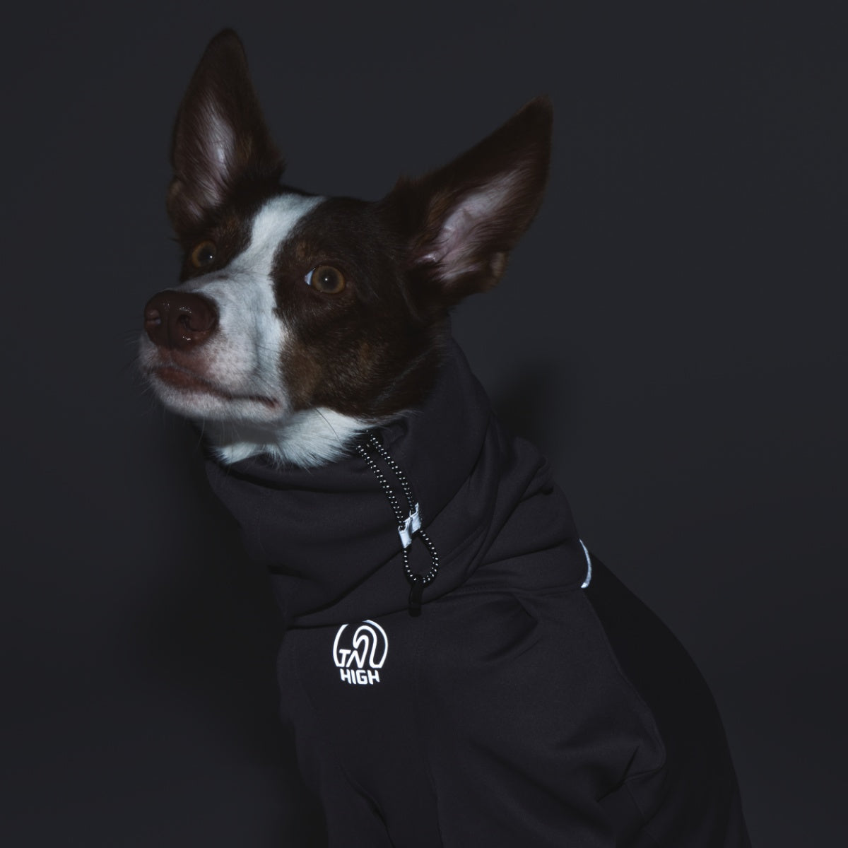 【TAILHIGH テールハイ】ヒーティングベースレイヤー Heating Active Suit XS〜XLサイズ