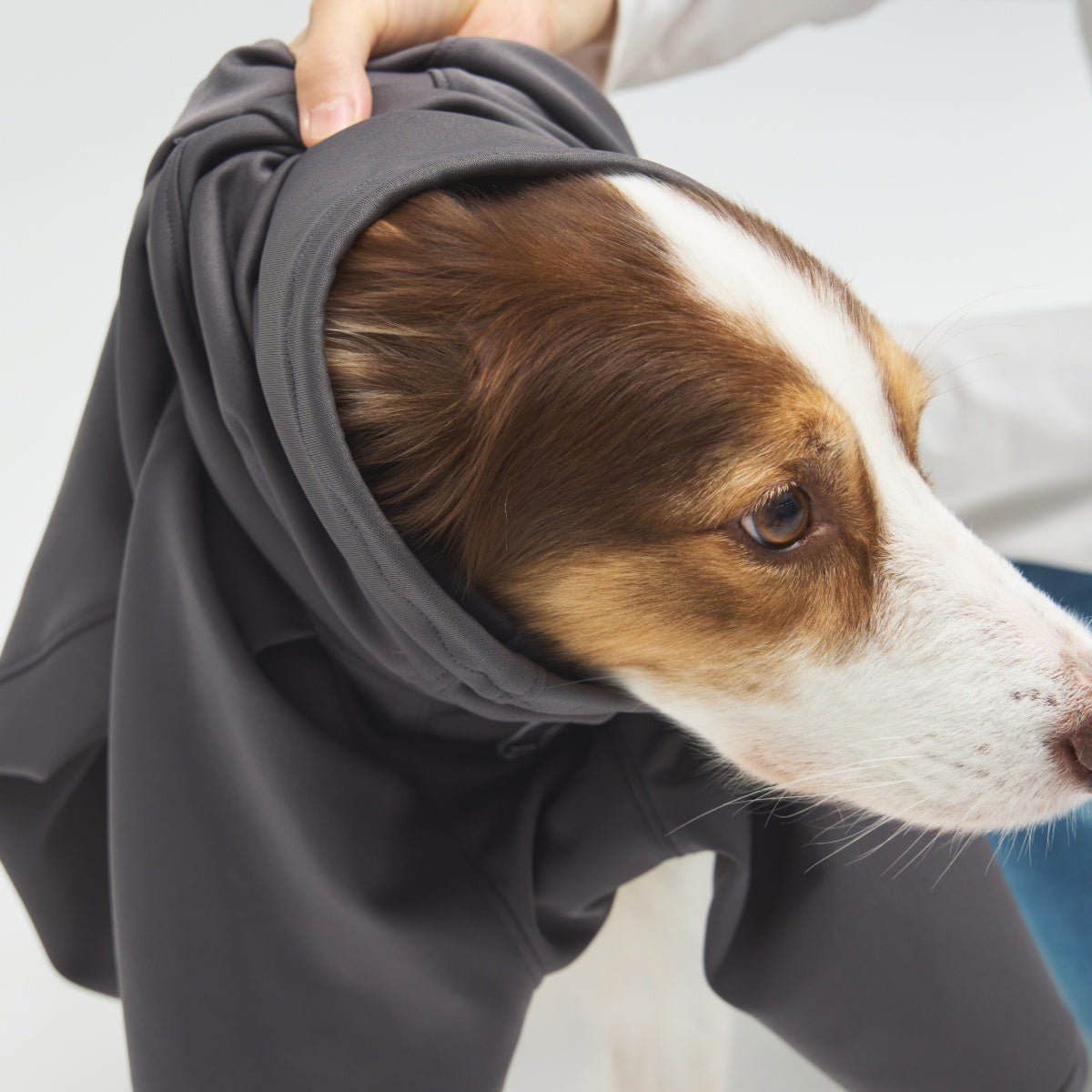 【TAILHIGH テールハイ】ヒーティングベースレイヤー Heating Active Suit XS〜XLサイズ