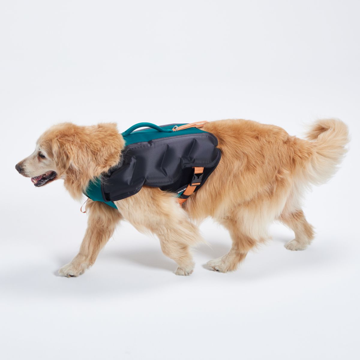 【TAILHIGH テールハイ】ライフジャケット Inflatable Wetsuit Lサイズ