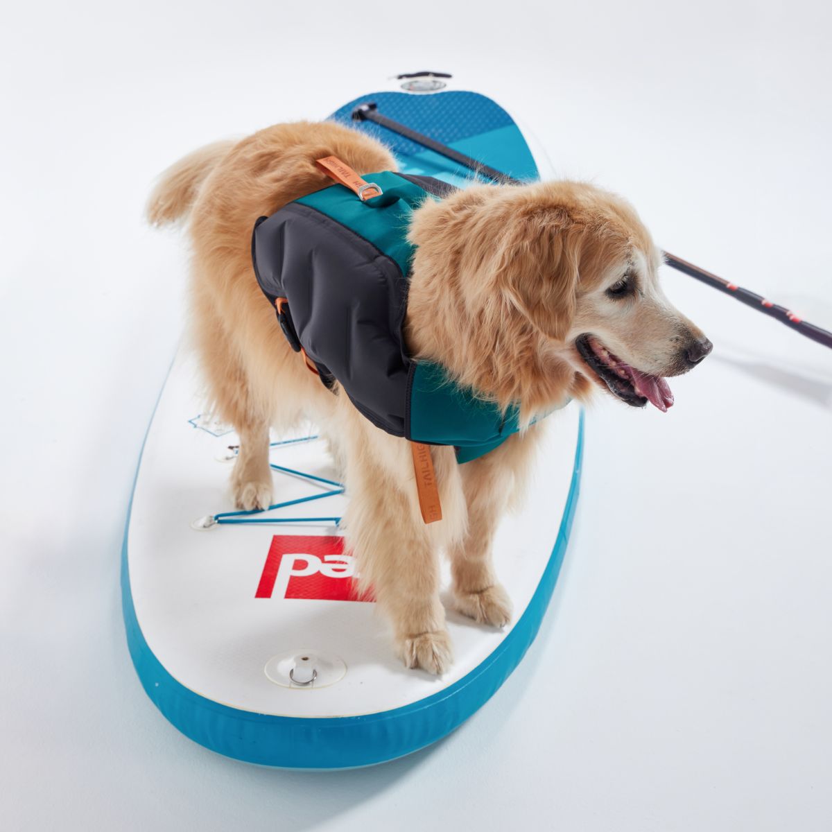 【TAILHIGH テールハイ】ライフジャケット Inflatable Wetsuit Lサイズ