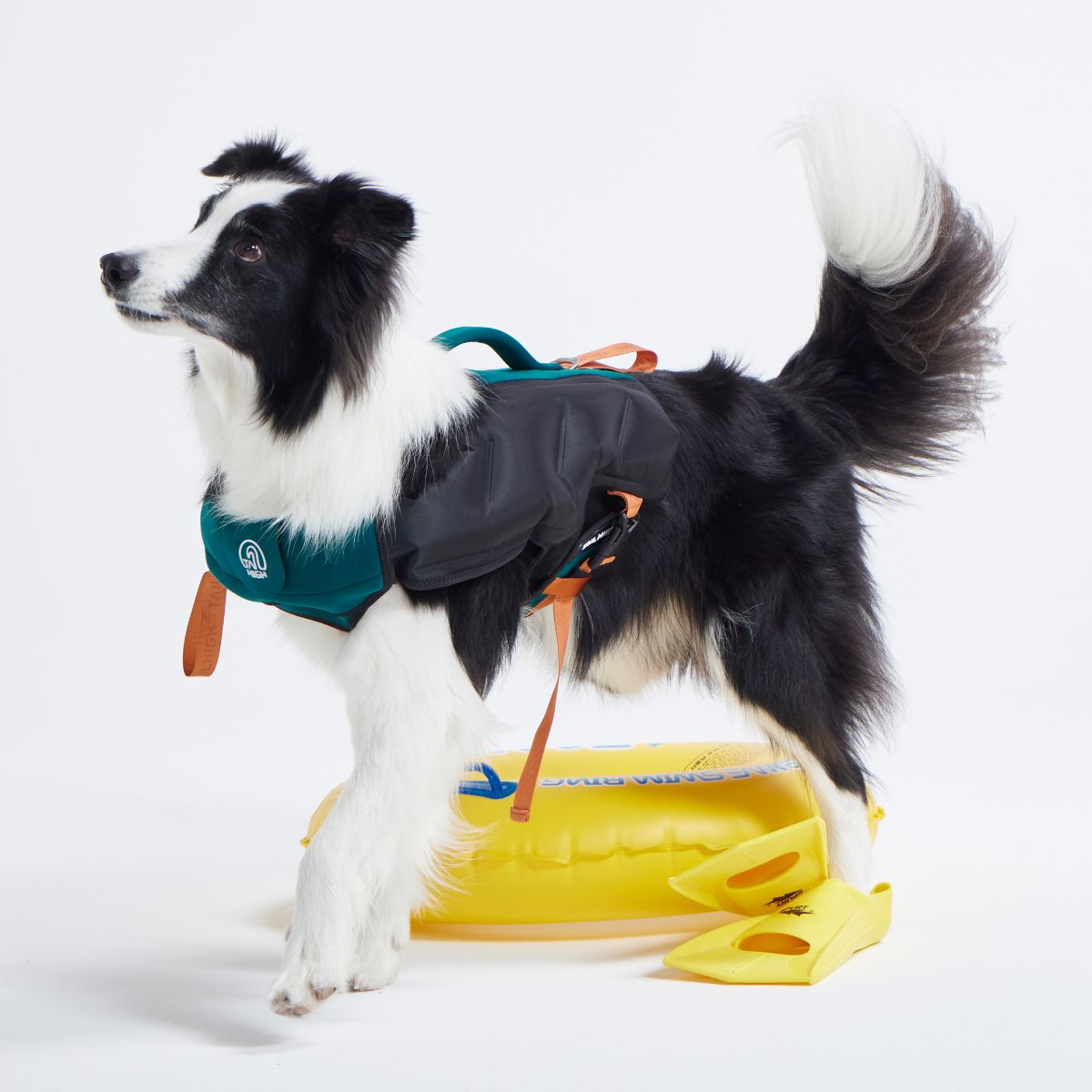【TAILHIGH テールハイ】ライフジャケット Inflatable Wetsuit Mサイズ