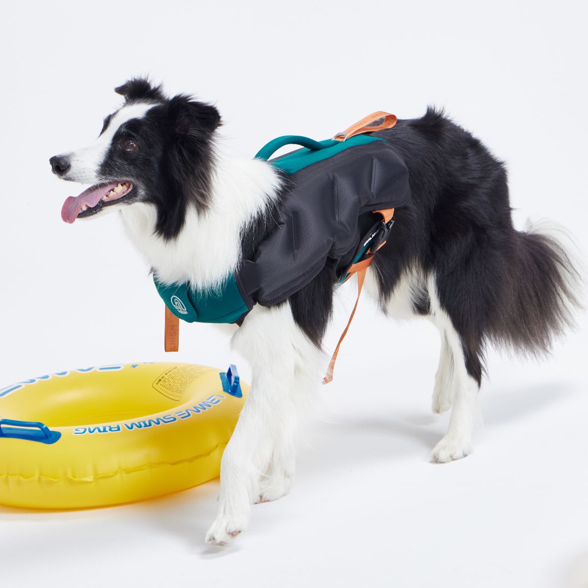 【TAILHIGH テールハイ】ライフジャケット Inflatable Wetsuit Mサイズ