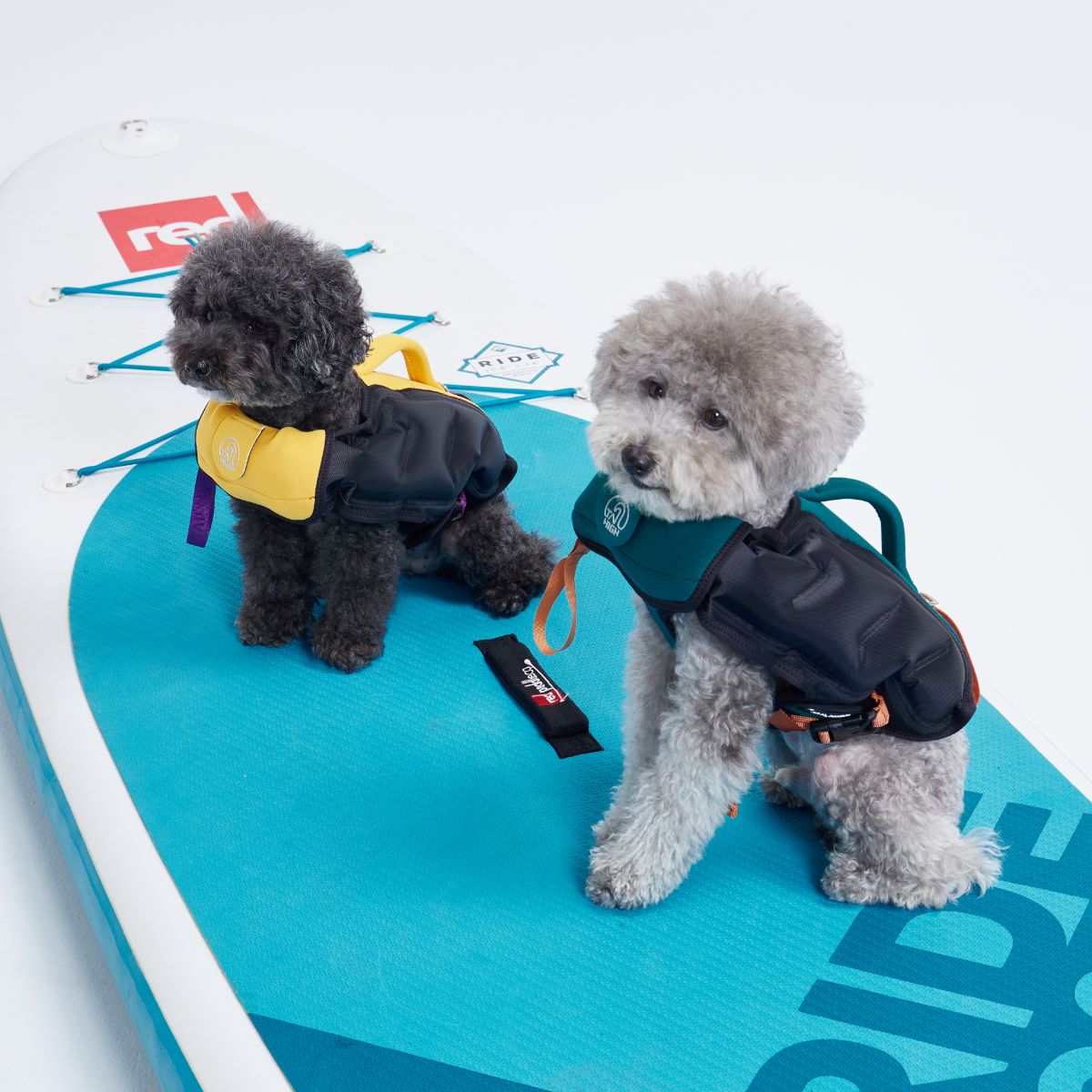 【TAILHIGH テールハイ】ライフジャケット Inflatable Wetsuit Sサイズ