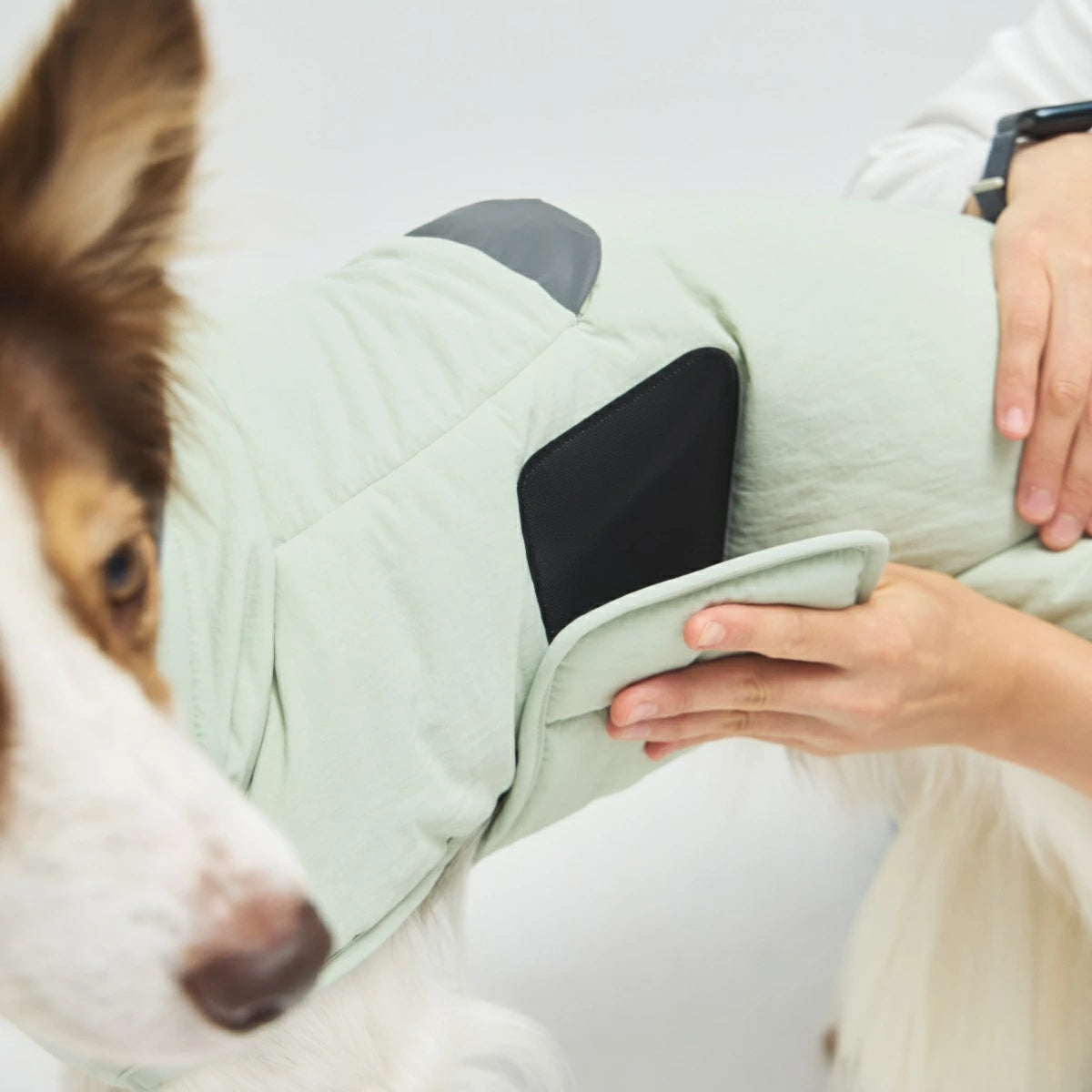 【TAILHIGH テールハイ】ウィンタージャケット 2.0 エクストリーム Down Jumper XS~Lサイズ