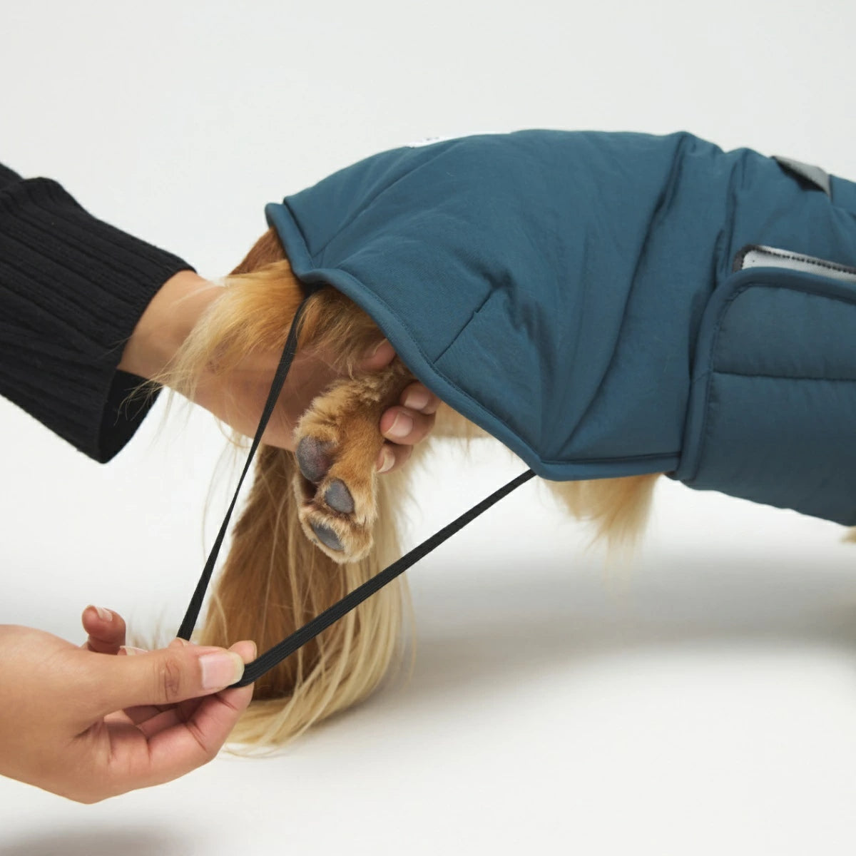 【TAILHIGH テールハイ】ウィンタージャケット 2.0 エクストリーム Down Jumper XS~Lサイズ