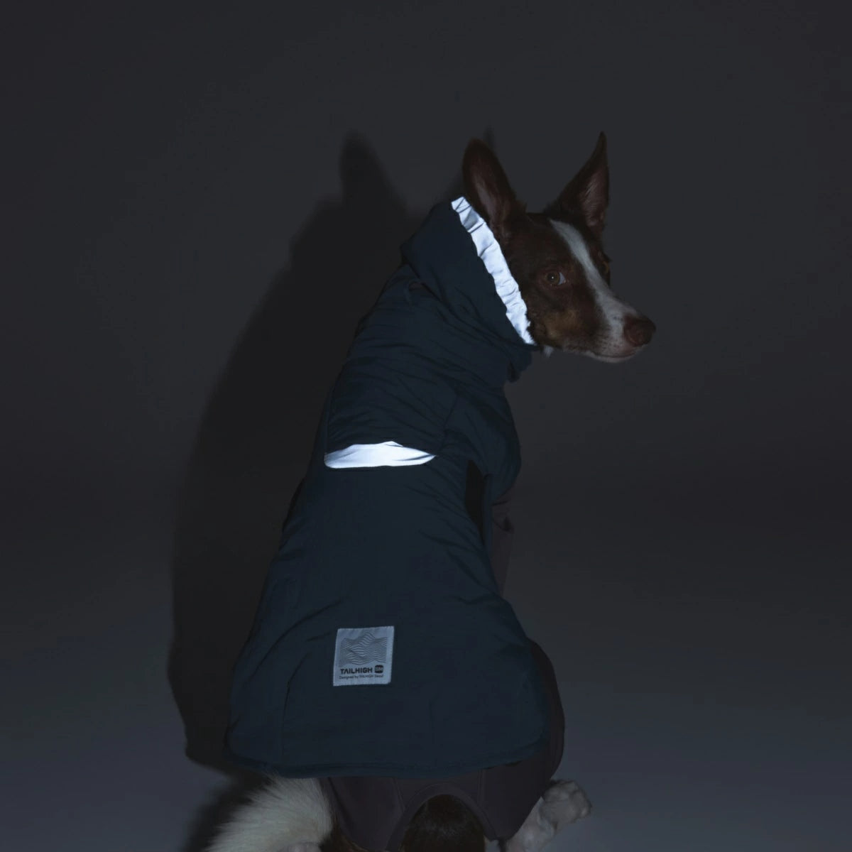 【TAILHIGH テールハイ】ウィンタージャケット 2.0 エクストリーム Down Jumper XS~Lサイズ