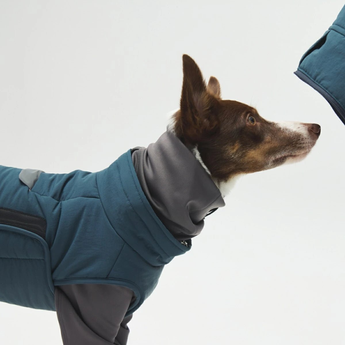 【TAILHIGH テールハイ】ウィンタージャケット 2.0 エクストリーム Down Jumper XS~Lサイズ