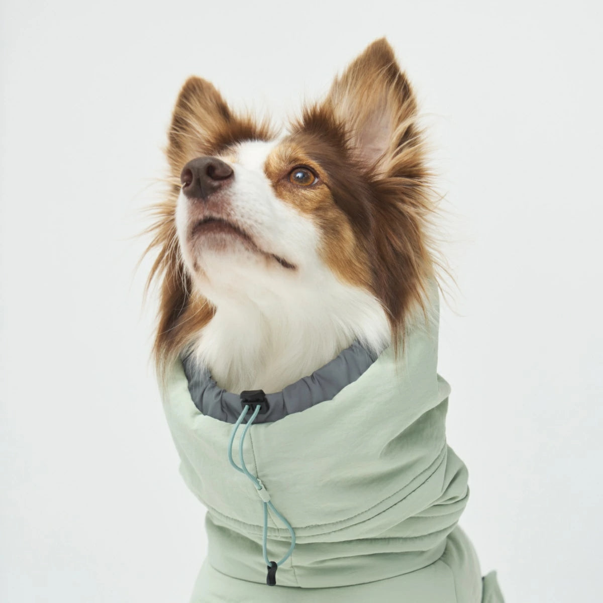 【TAILHIGH テールハイ】ウィンタージャケット 2.0 エクストリーム Down Jumper XS~Lサイズ