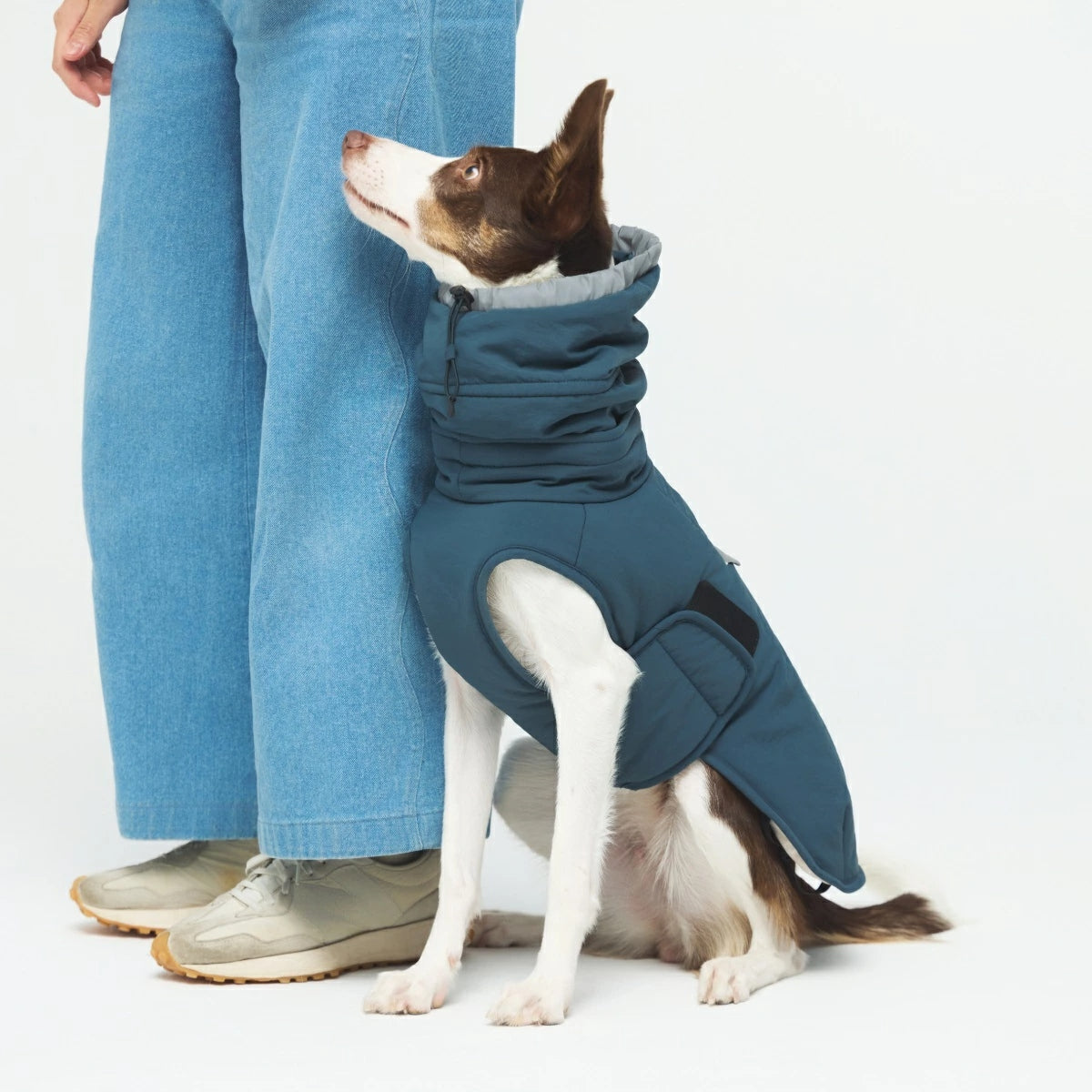 【TAILHIGH テールハイ】ウィンタージャケット 2.0 エクストリーム Down Jumper XS~Lサイズ