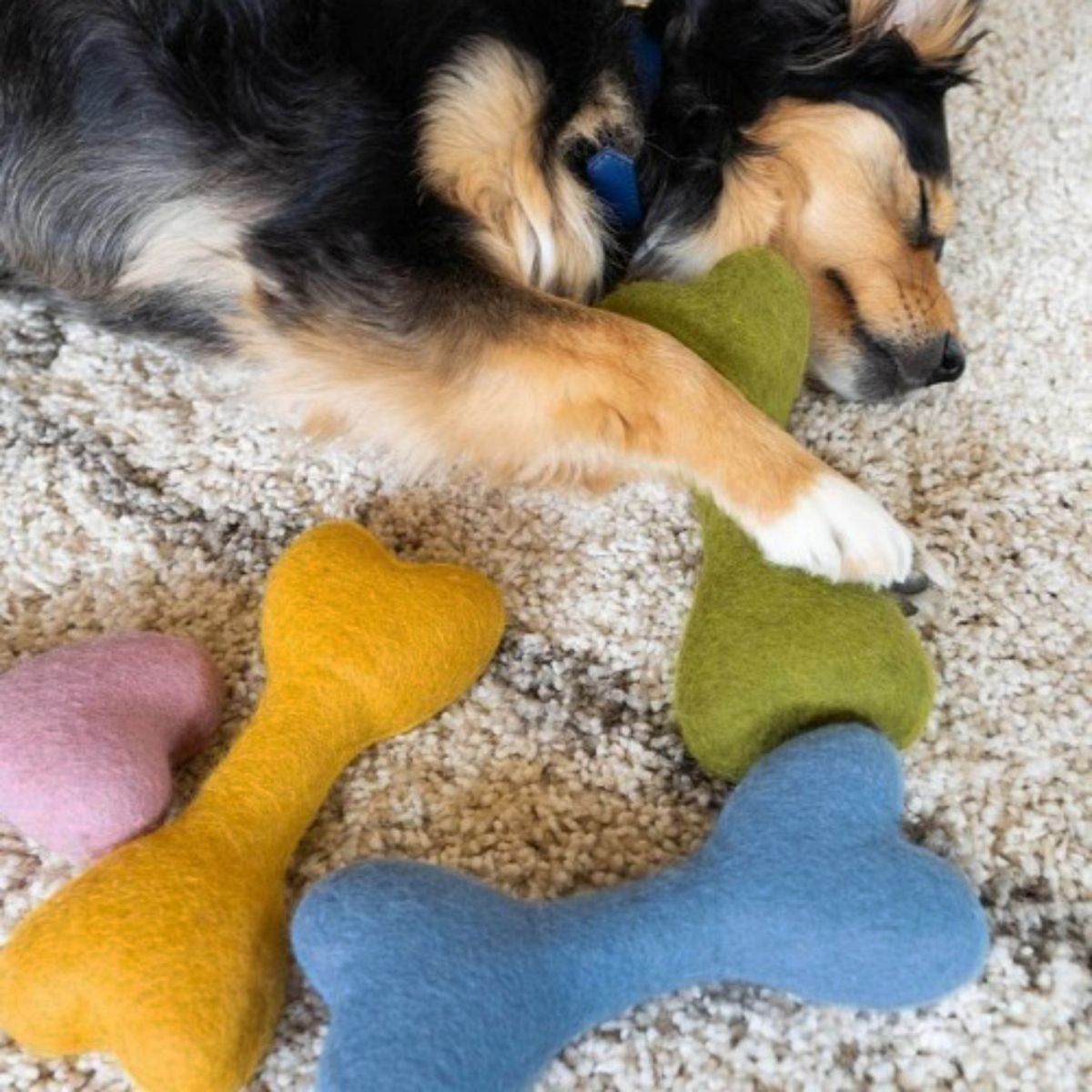 【MODERNBEAST モダンビースト】ウールボーン S,Lサイズ 3カラー