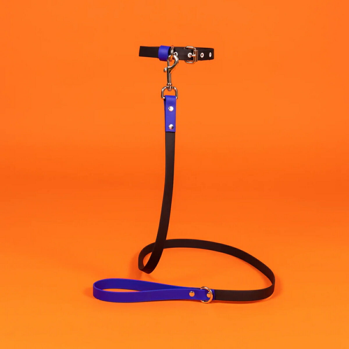 【WARE OF THE DOG ウェアオブザドッグ】2トーン ビオタン リーシュ ブラック/ロイヤルブルー Sサイズ