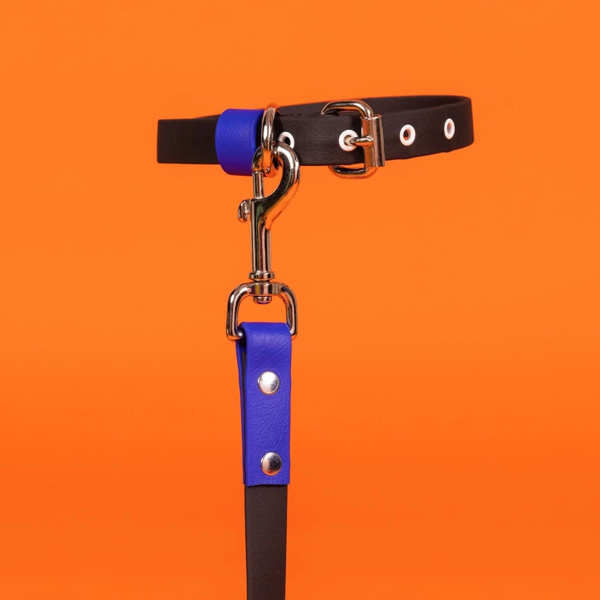 【WARE OF THE DOG ウェアオブザドッグ】2トーン ビオタン リーシュ ブラック/ロイヤルブルー Sサイズ