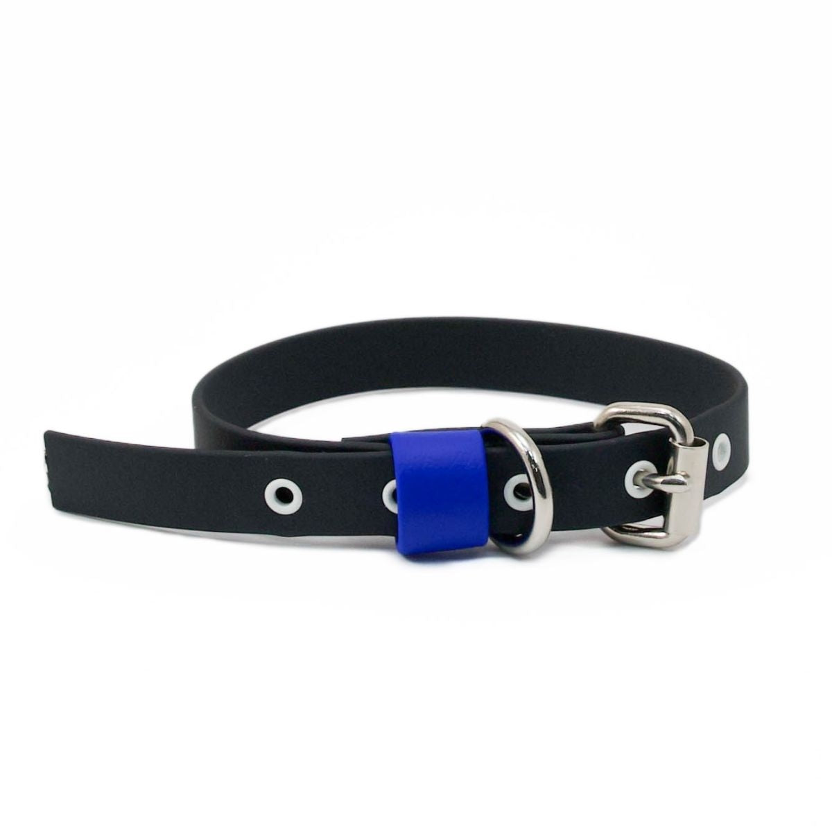 【WARE OF THE DOG ウェアオブザドッグ】2トーン ビオタン カラー ブラック/ロイヤルブルー XS,Sサイズ