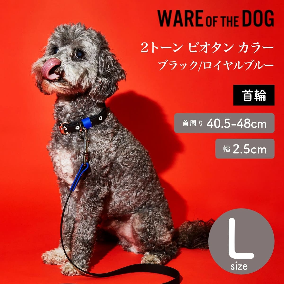 【WARE OF THE DOG ウェアオブザドッグ】2トーン ビオタン カラー ブラック/ロイヤルブルー Lサイズ