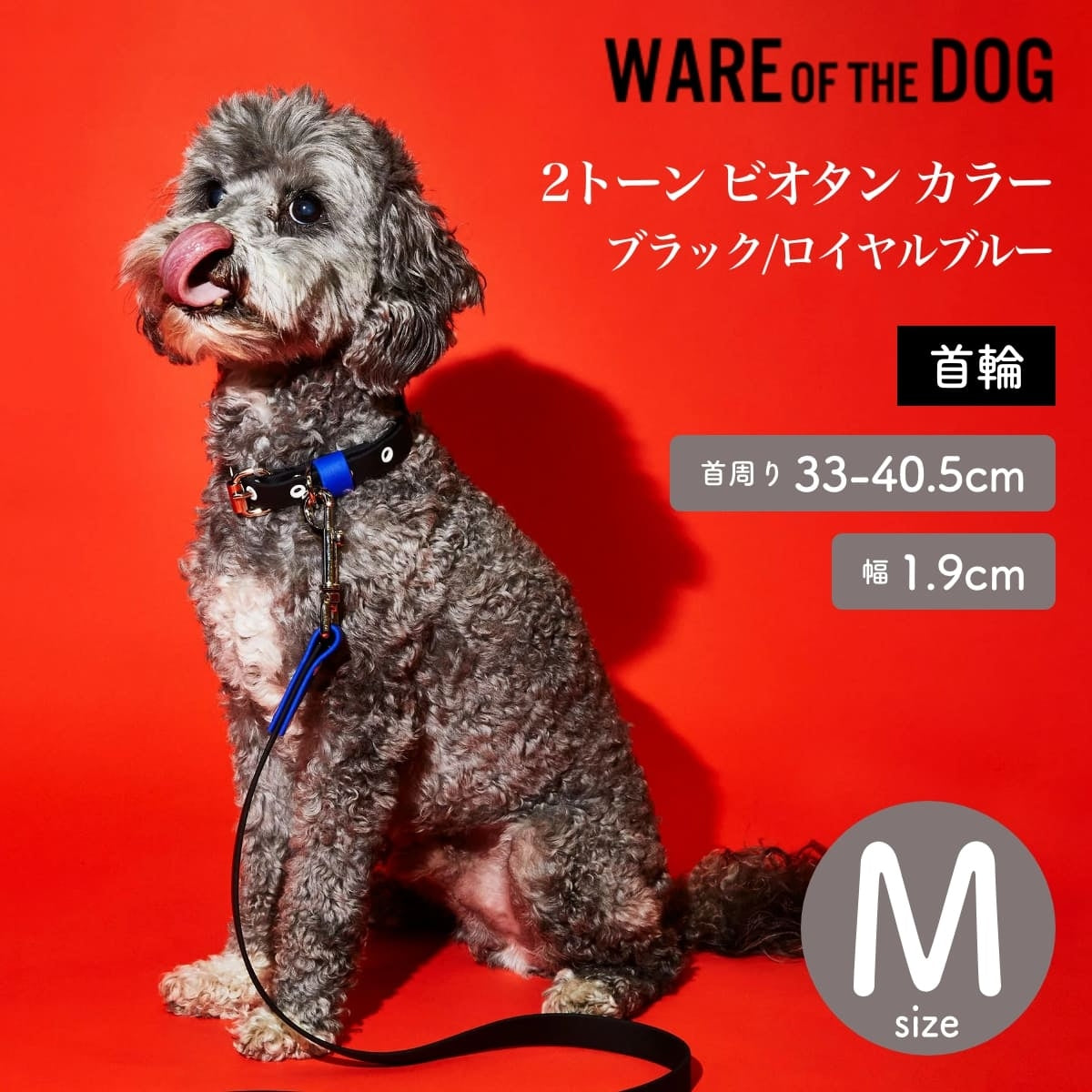 【WARE OF THE DOG ウェアオブザドッグ】2トーン ビオタン カラー ブラック/ロイヤルブルー Mサイズ