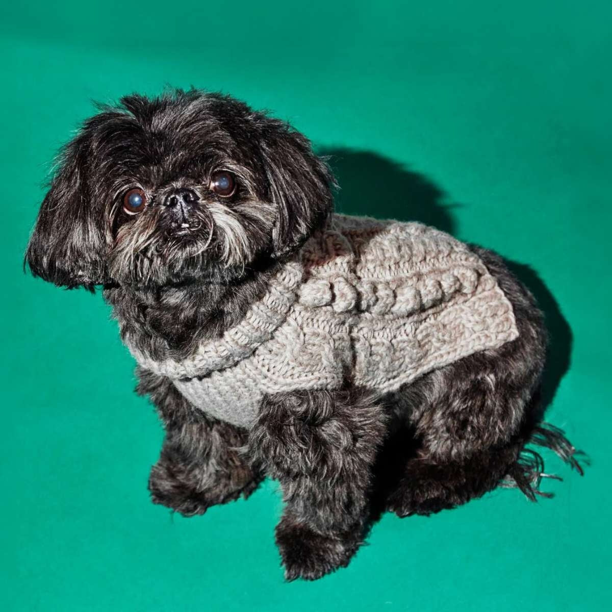 【WARE OF THE DOG ウェアオブザドッグ】ケーブル バブル タートルネック ナチュラル