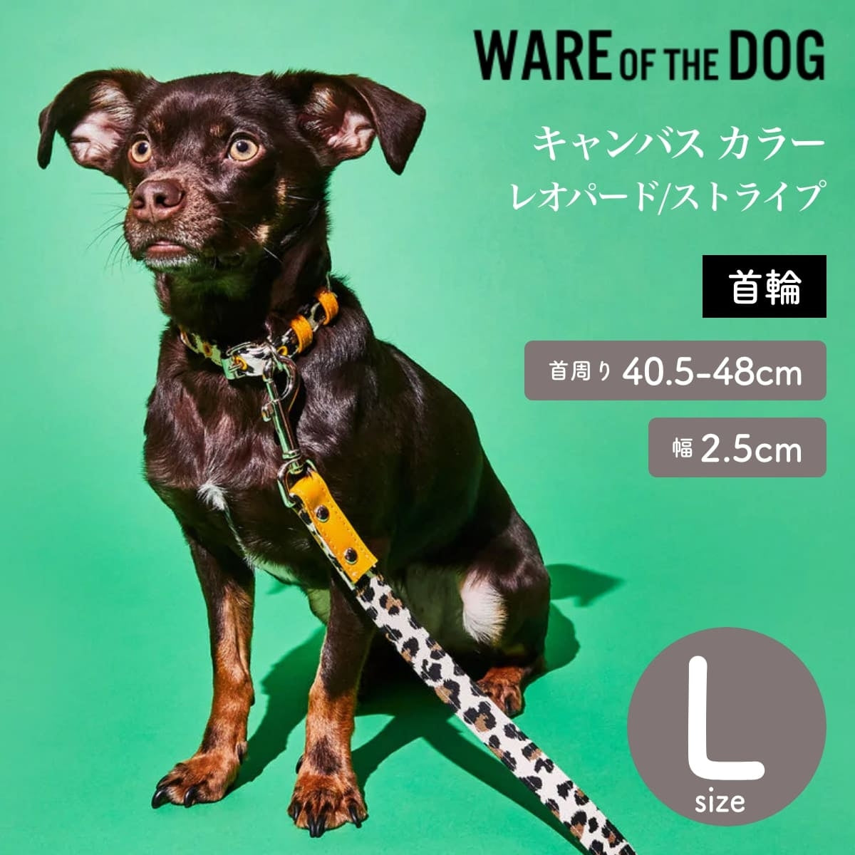 【WARE OF THE DOG ウェアオブザドッグ】キャンバス カラー レオパード/ストライプ Lサイズ