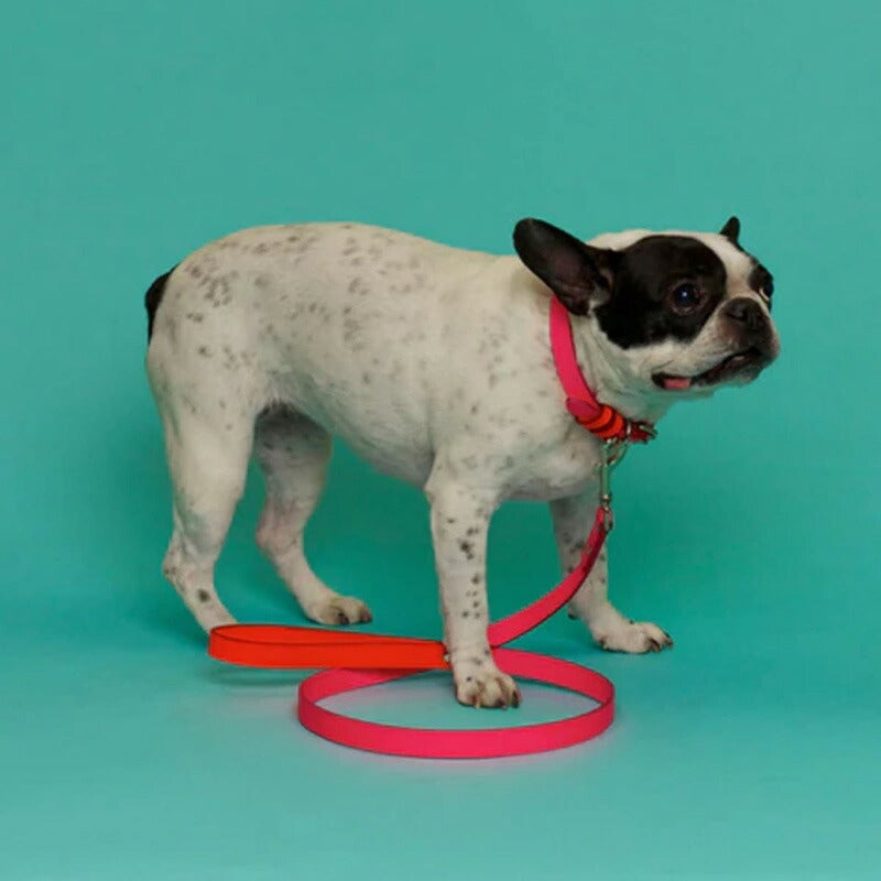 【WARE OF THE DOG ウェアオブザドッグ】2トーン レザー リーシュ ピンク/オレンジ Mサイズ