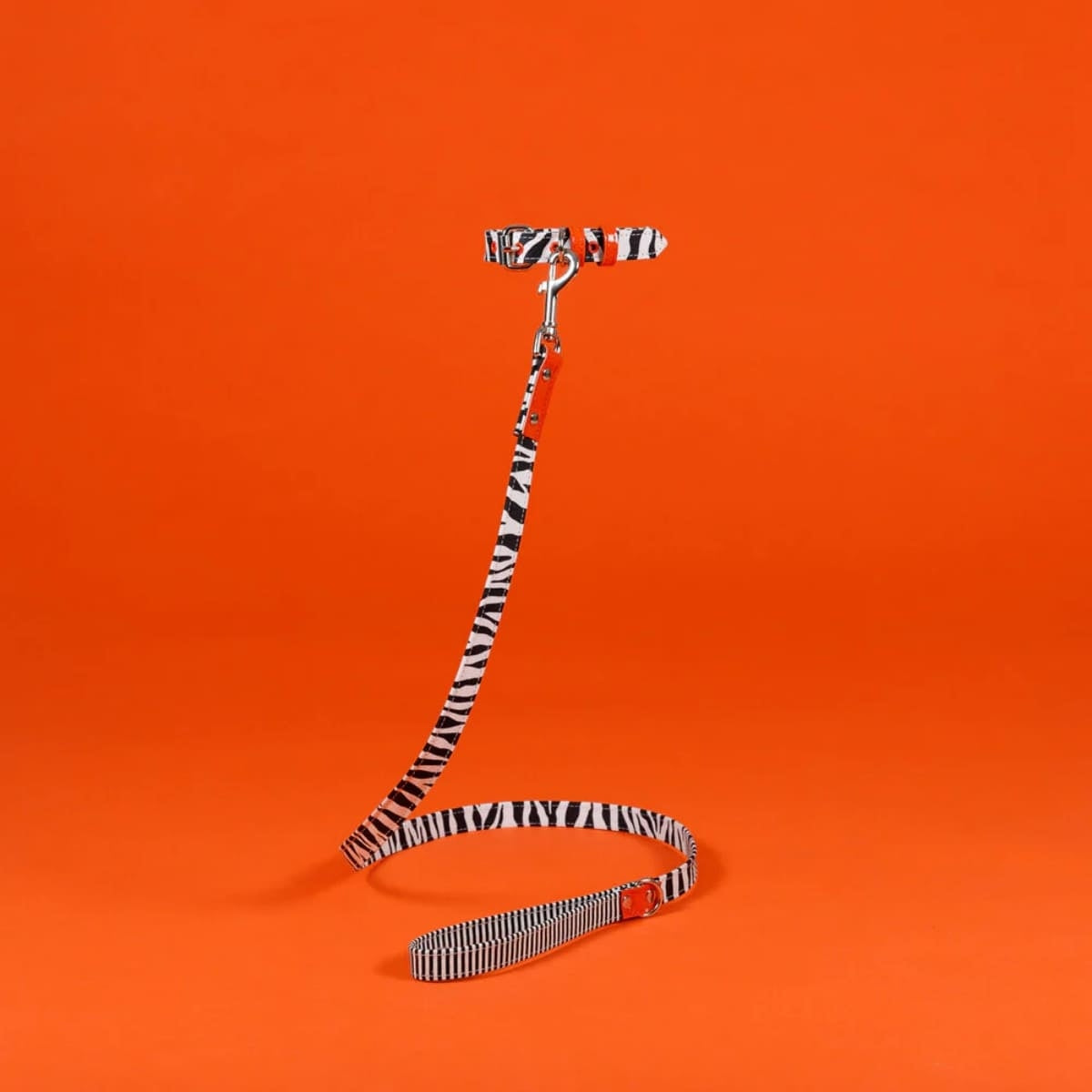 【WARE OF THE DOG ウェアオブザドッグ】キャンバス カラー ゼブラ/ストライプ XS,Sサイズ