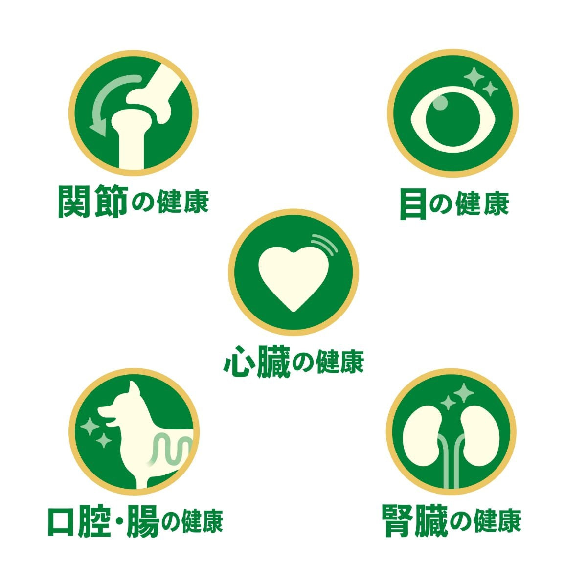 【ヤムヤムヤム! yum yum yum! 】犬用フード ハイシニア 13+ チキン ウェットタイプ 400g(80g×5)