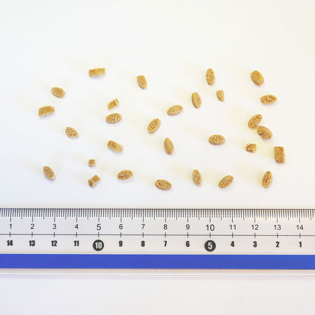 【ヤムヤムヤム! yum yum yum! 】犬用フード 健康マネジメント腎臓 チキン ドライタイプ 超小粒タイプ ちょこっとパック 50g