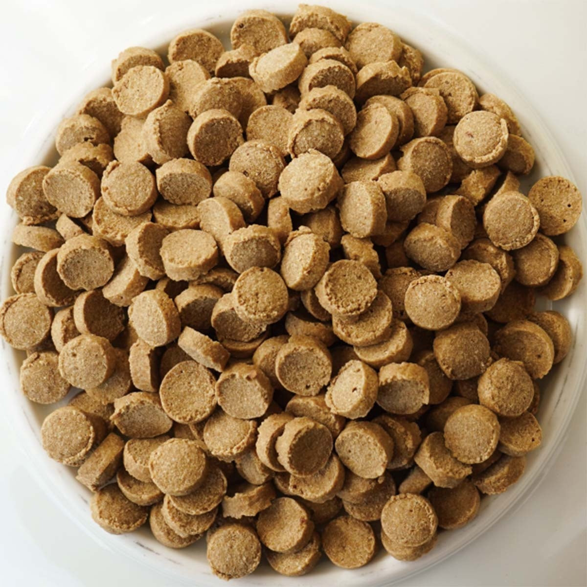 【ヤムヤムヤム! yum yum yum! 】犬用フード シニア&ライト 馬肉 ドライタイプ 小粒タイプ ちょこっとパック 50g