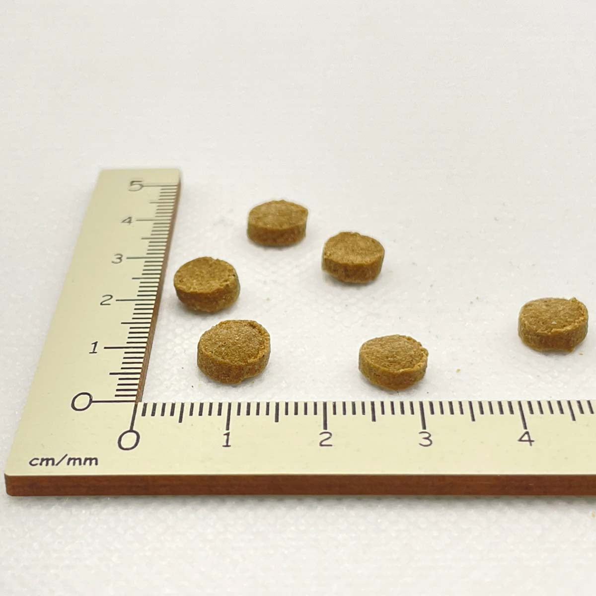 【ヤムヤムヤム! yum yum yum! 】犬用フード シニア&ライト 馬肉 ドライタイプ 小粒タイプ ちょこっとパック 50g