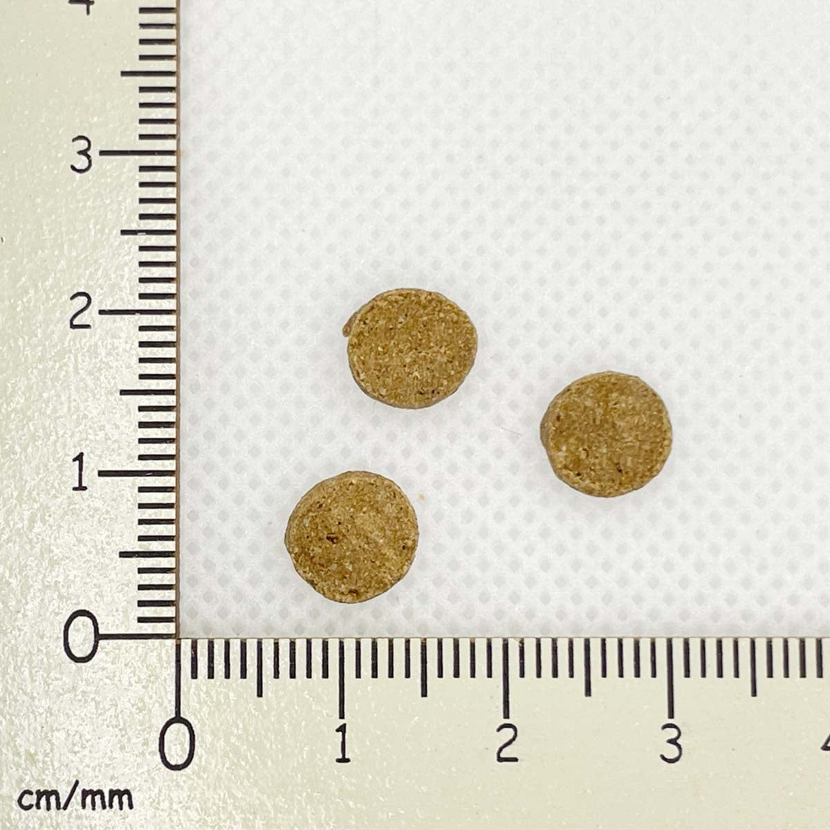 【ヤムヤムヤム! yum yum yum! 】犬用フード シニア&ライト 馬肉 ドライタイプ 小粒タイプ ちょこっとパック 50g